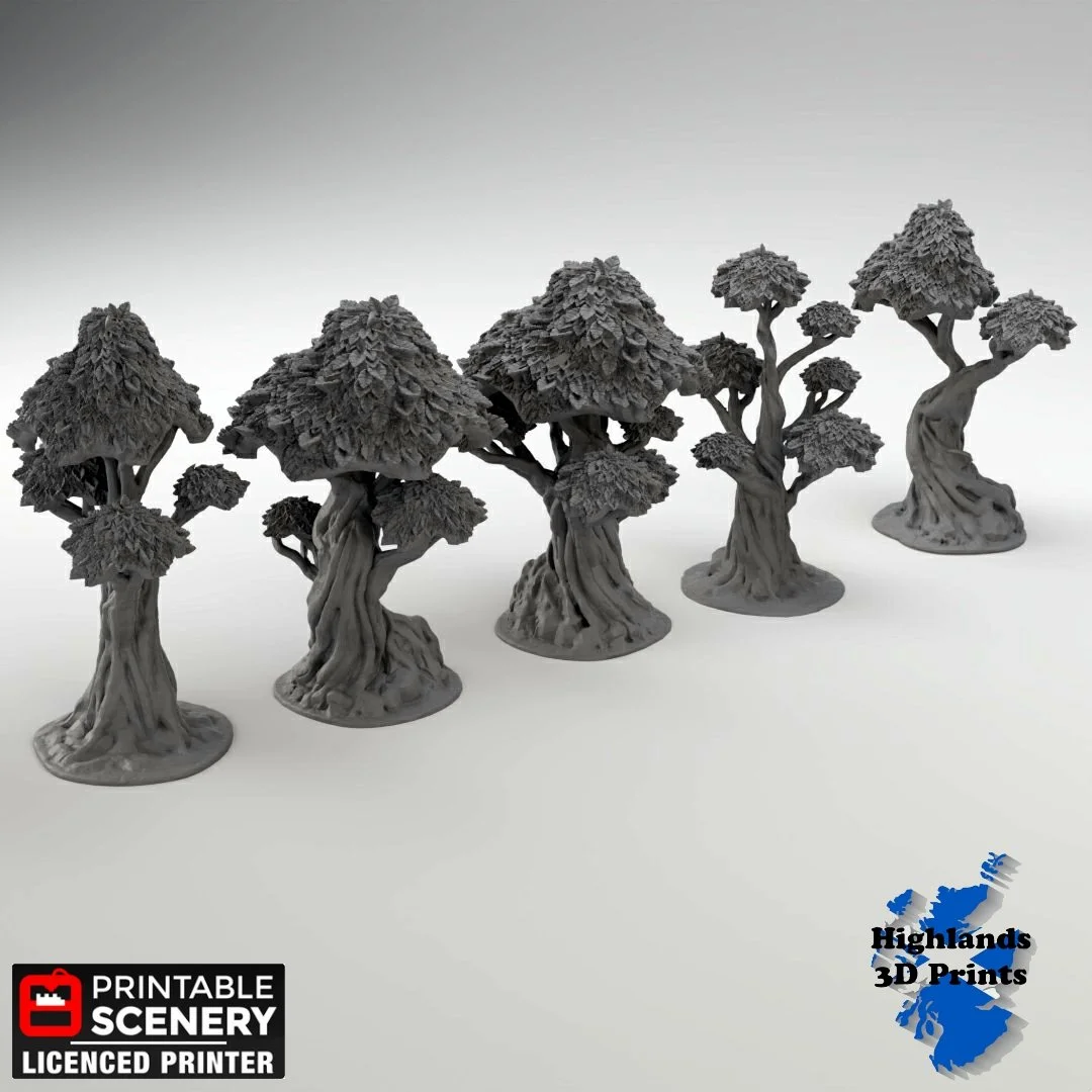 Ebay Gnarly Trees with Canopies 1.jpg