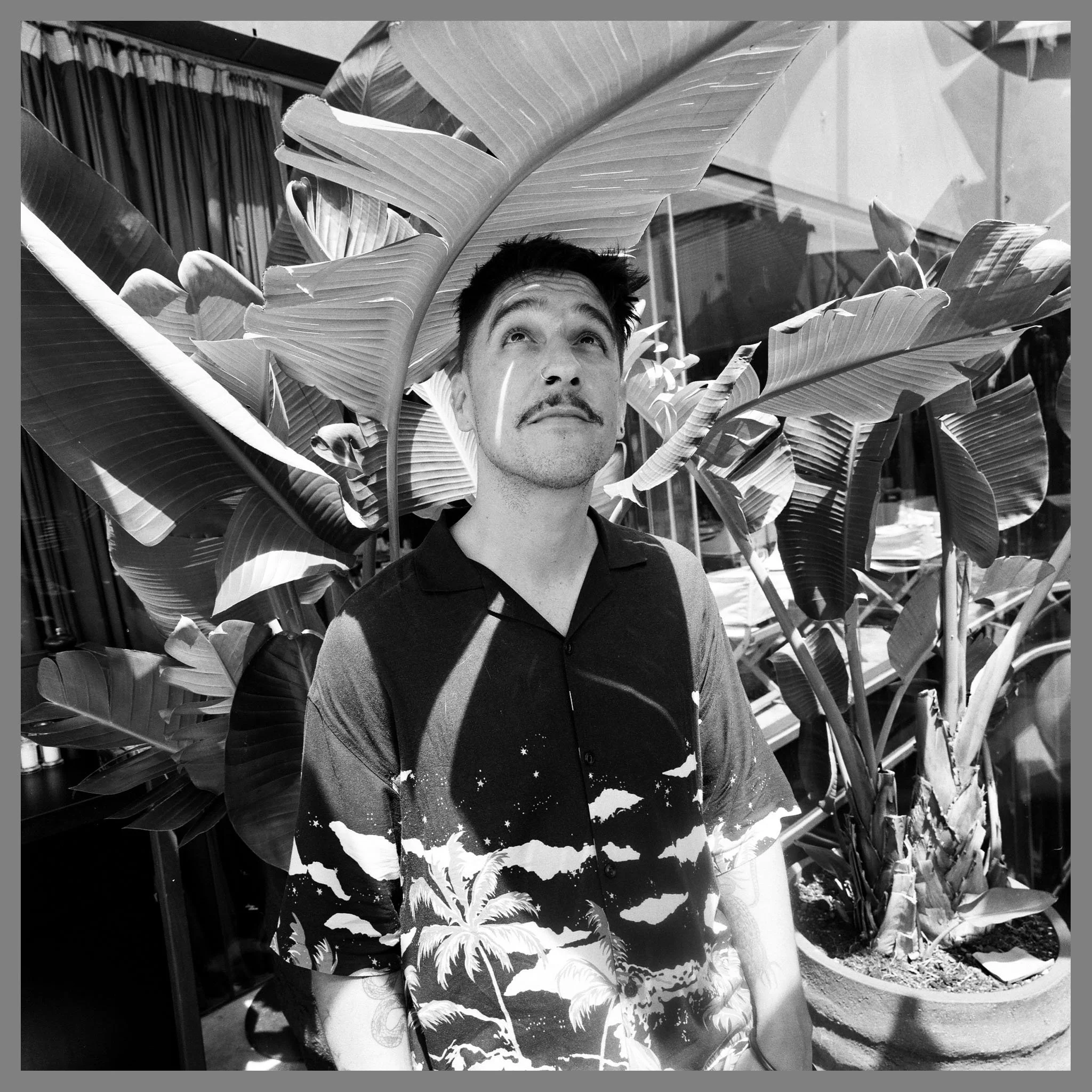 Hombre con expresión pensativa entre plantas grandes, en un entorno interior con cortinas y ventanas.