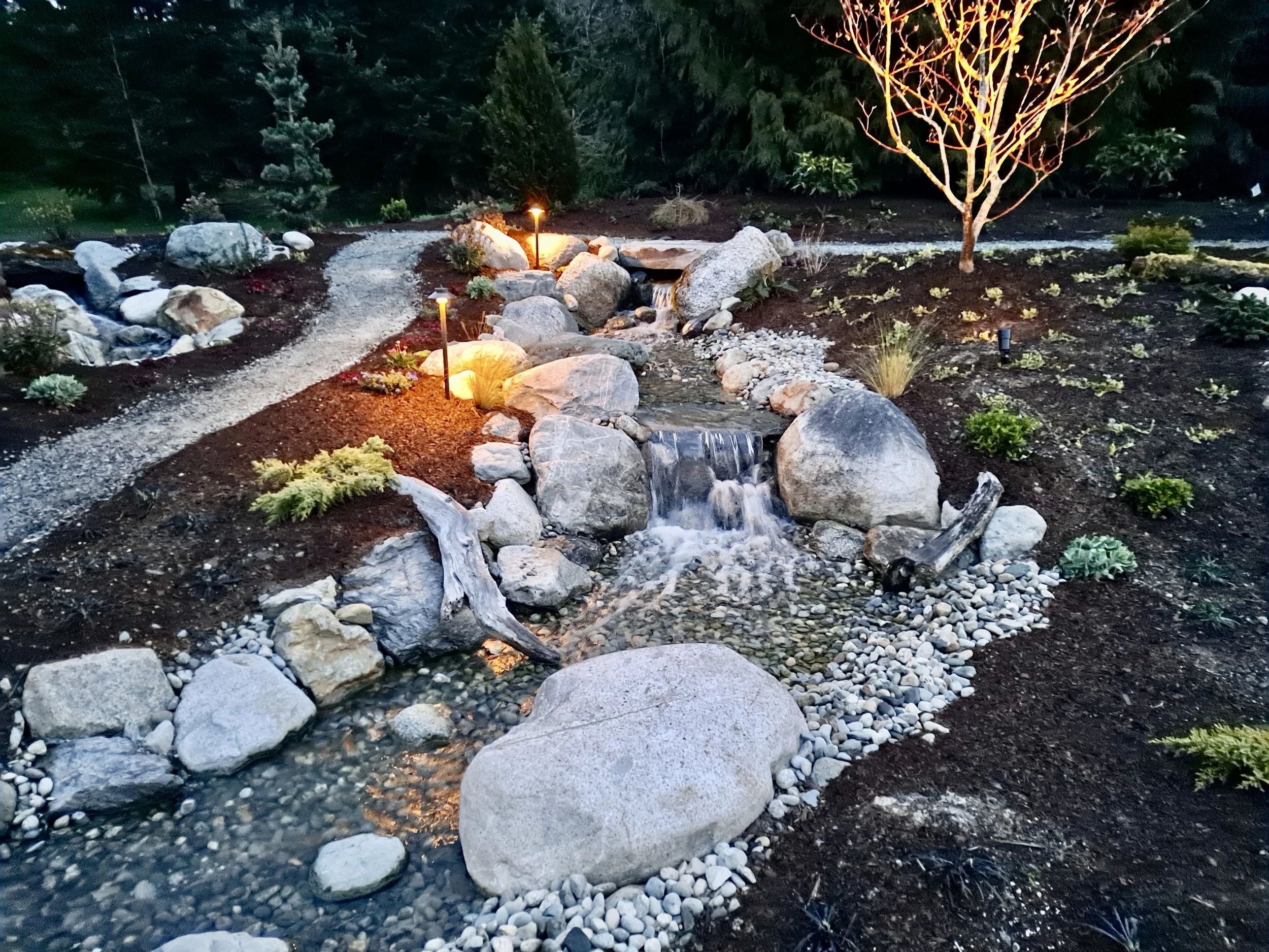 20210406_061654 2.jpg