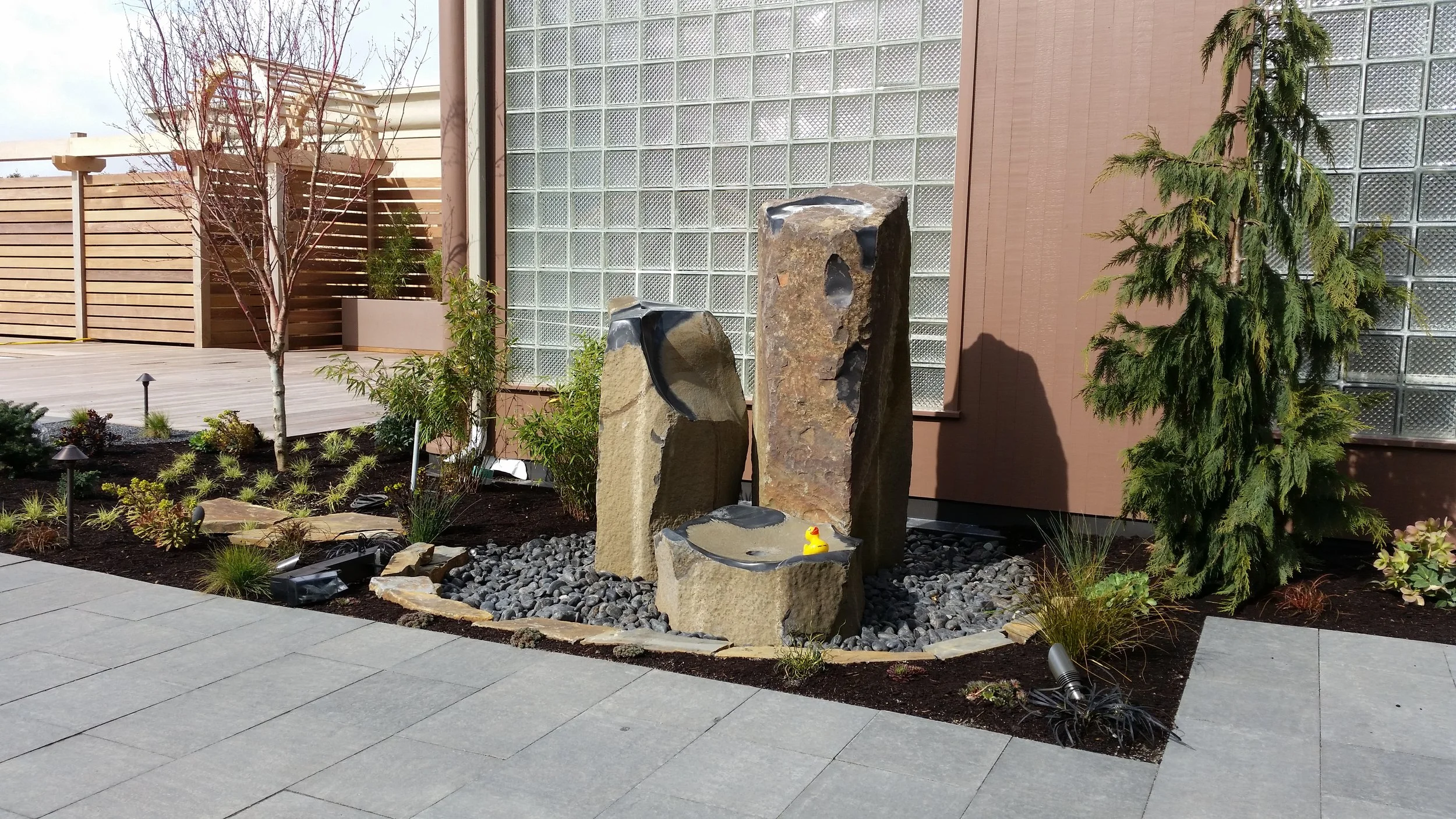 20150314_130242.jpg
