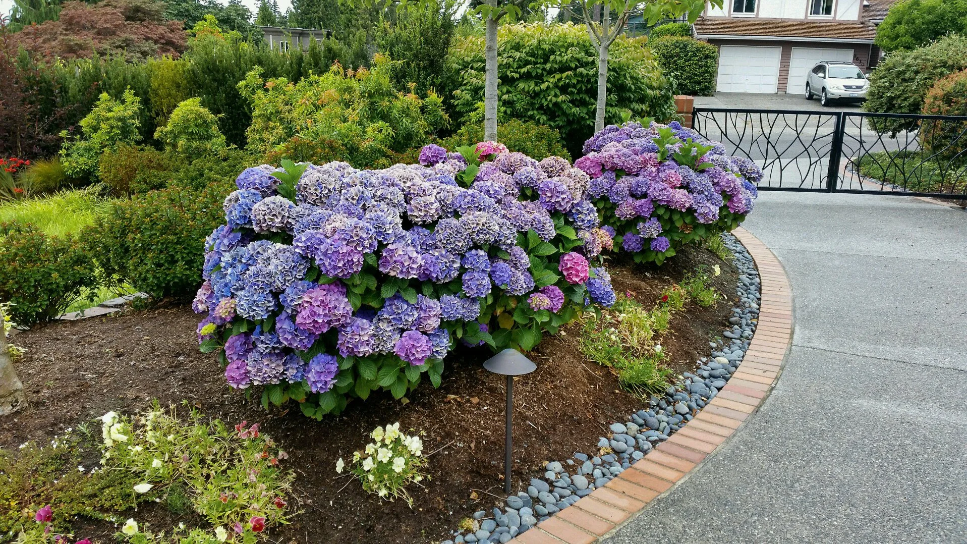 20180803_084651.jpg