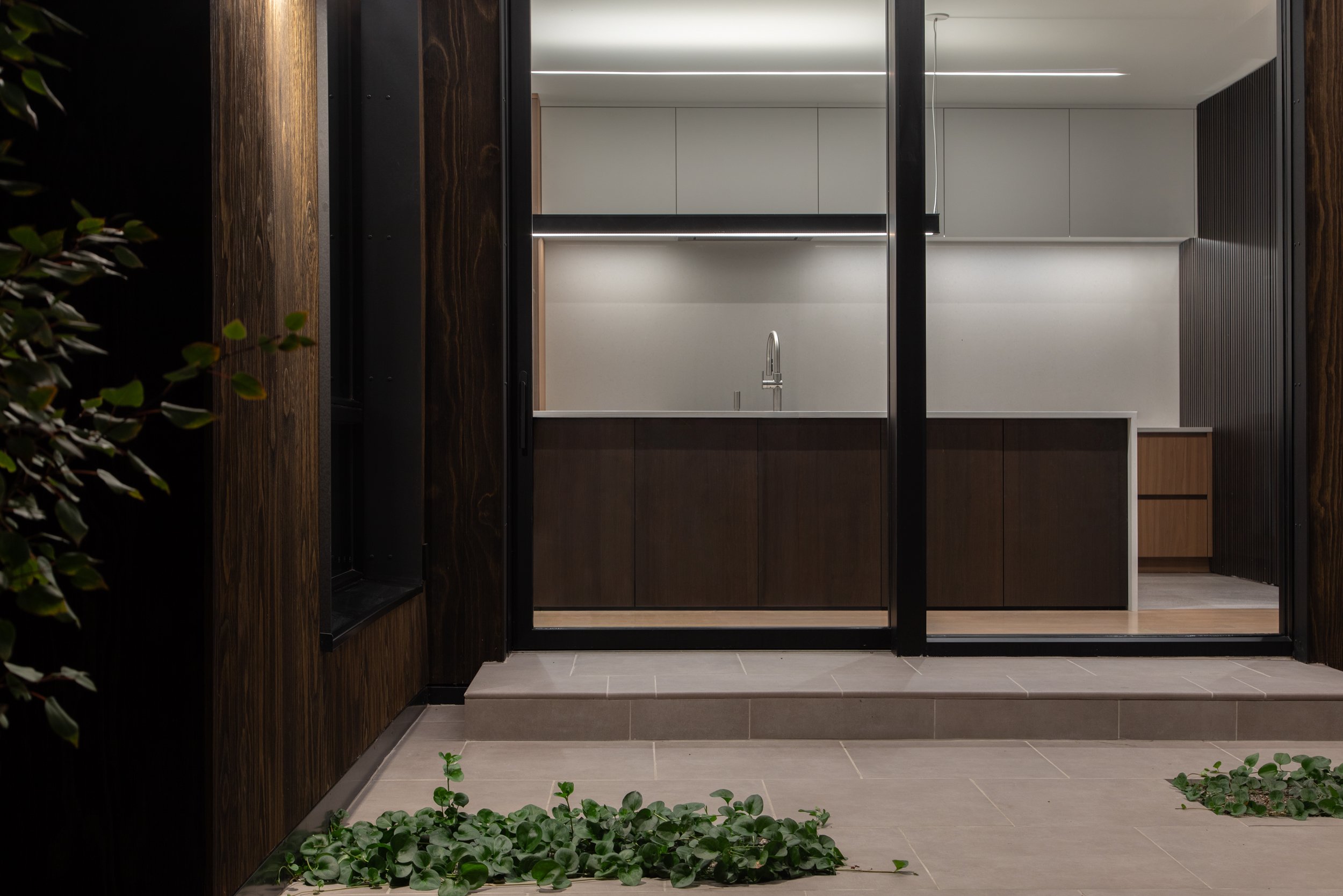 Modern kitchen with white cabinets, a stainless steel sink, and clean minimalist design viewed through a glass door. Outside, there is a plant with green leaves growing at the base of a wooden wall.