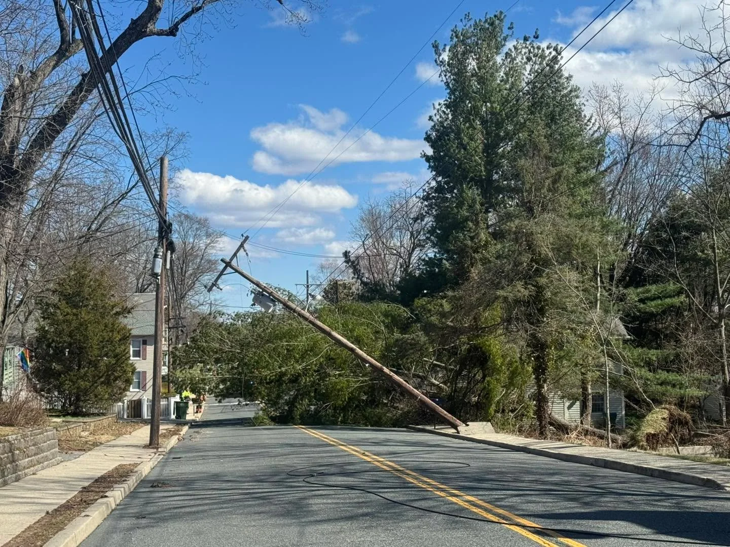 Main Street is temporary closed due to a tree down between Myrtle and High Street