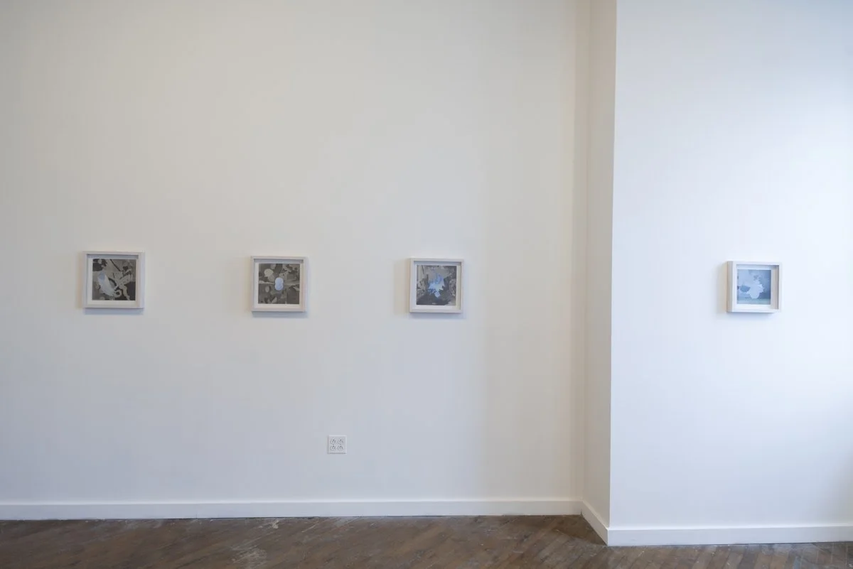 never wanted nothing-3.jpg