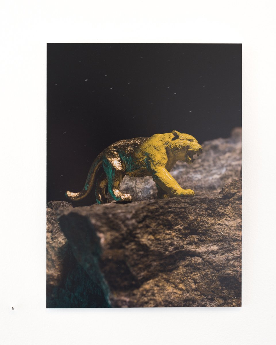 to tiger with love-35.jpg