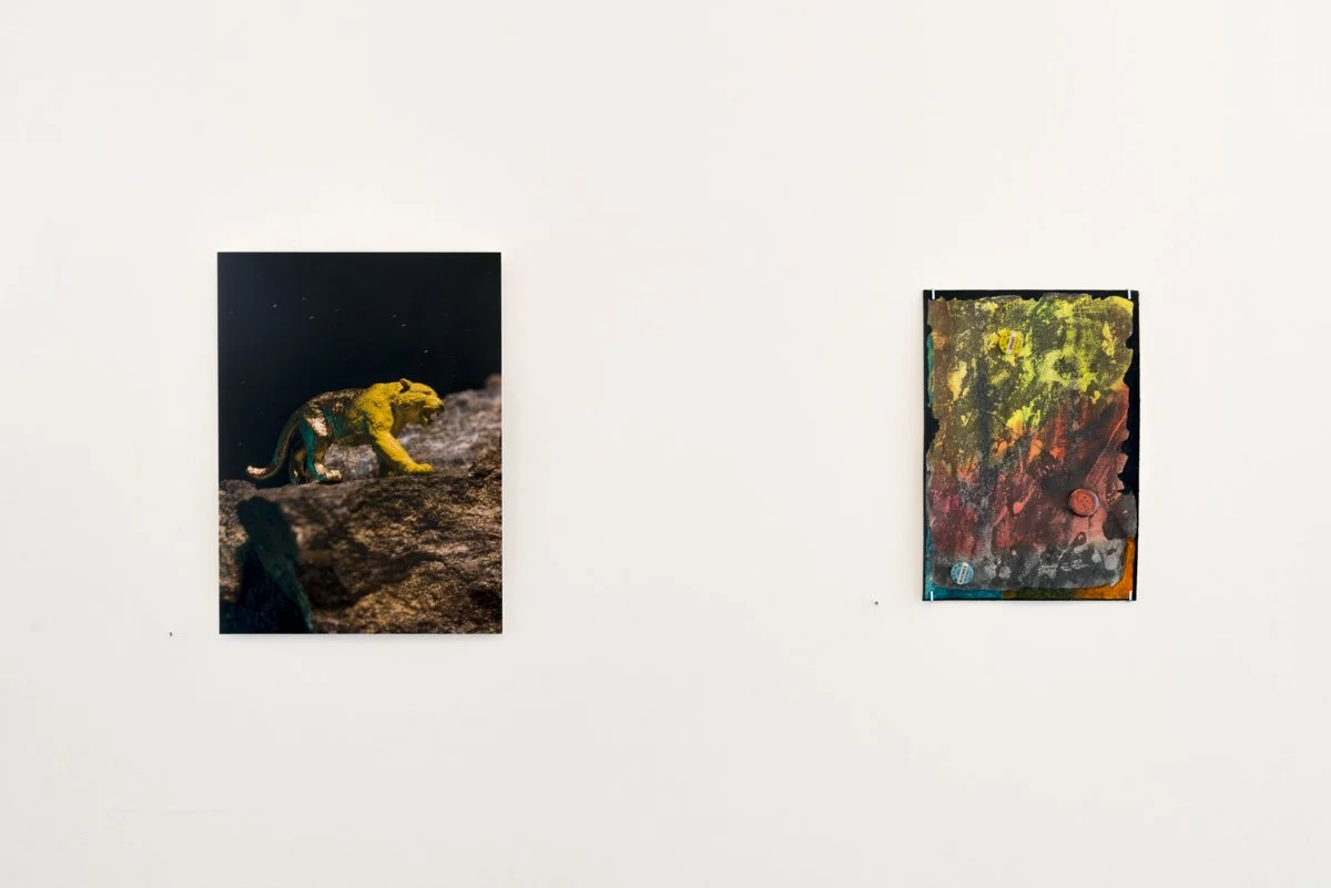 to tiger with love-19.jpg