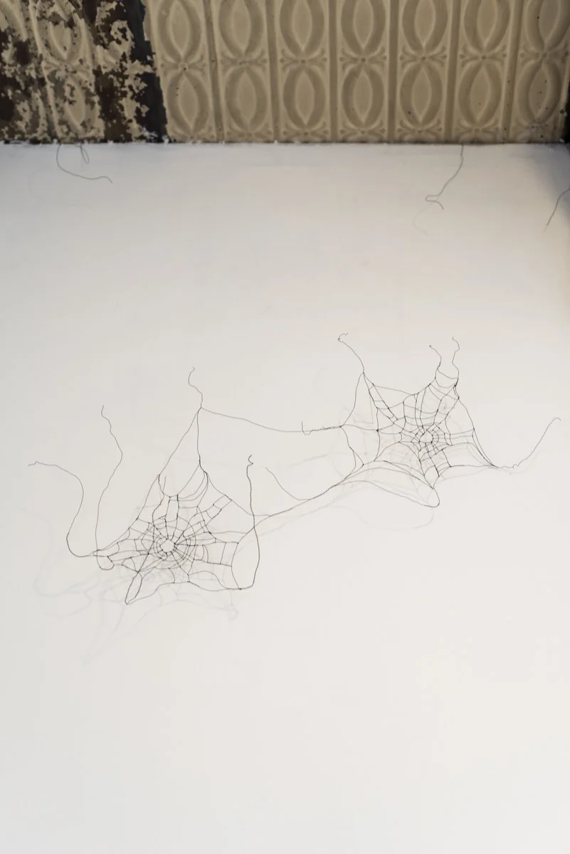 never wanted nothing-19.jpg