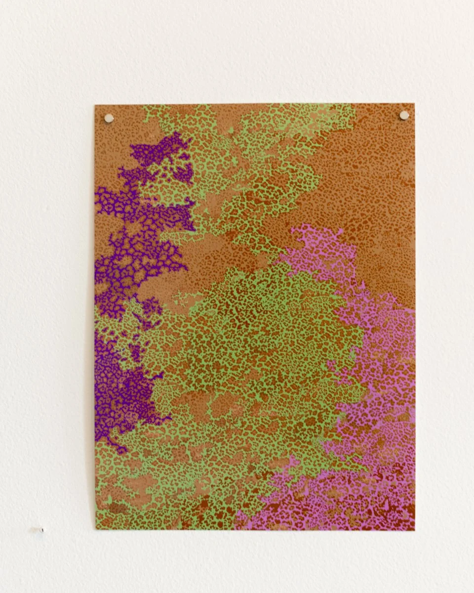 to tiger with love-44.jpg