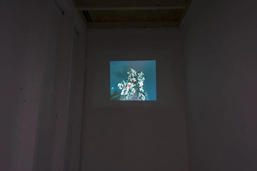 cities that walked-20.jpg