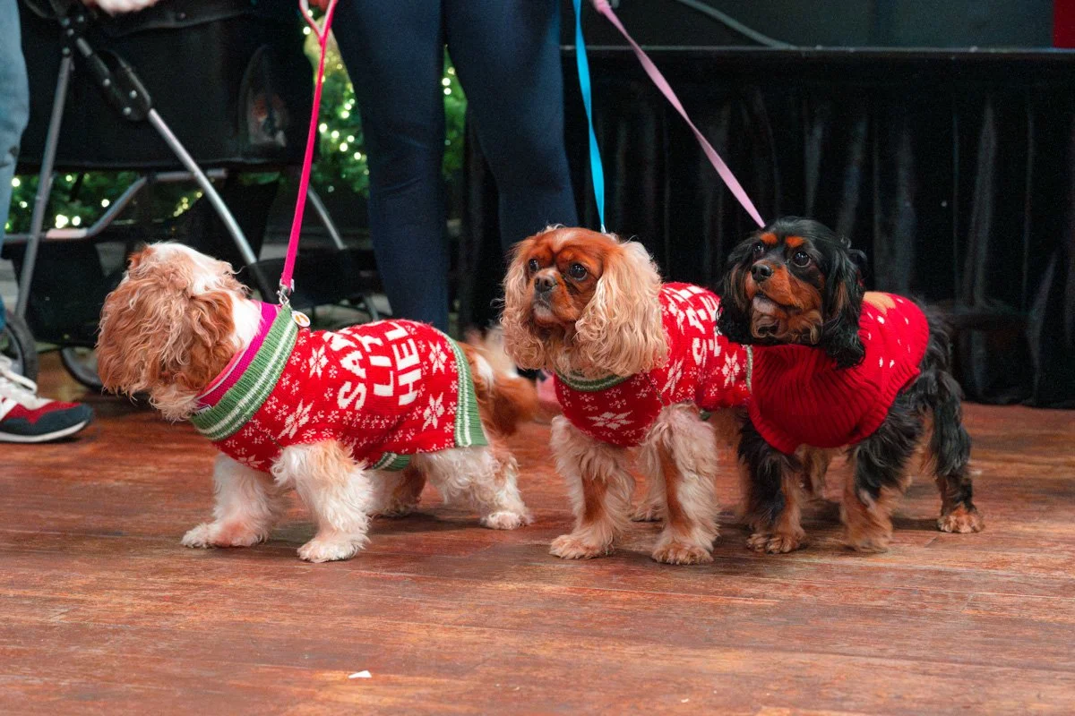 DSC08746.jpg