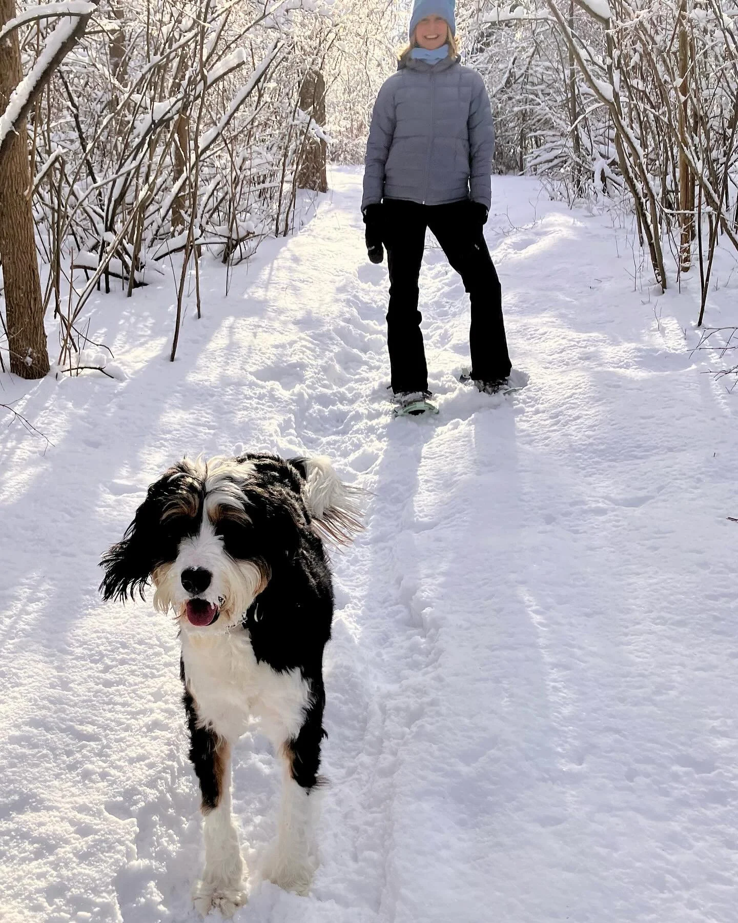 Perk of being a writer&hellip;snowshoe breaks. ❄️

#writer #writersofinstagram #writers #thenightofthewhales #bernedoodle