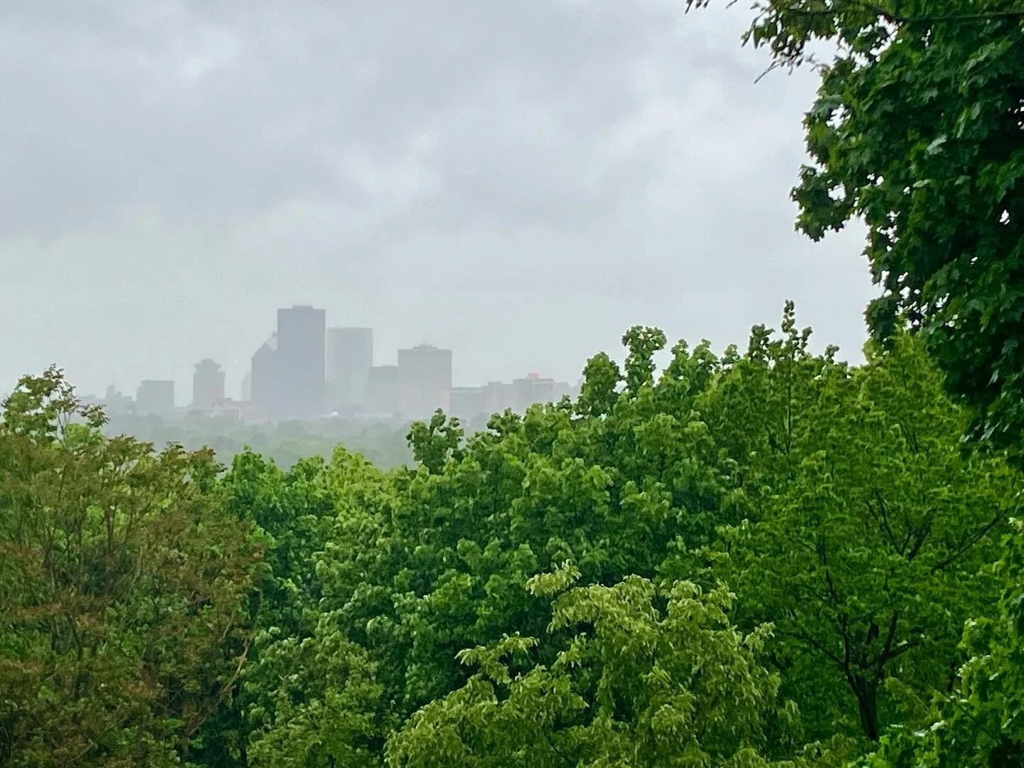 One of my favorite sayings: There is no such thing as bad weather, only bad clothing choices. After getting through a tough spot in the book this afternoon, I decided to put on the rain gear and take a break ☔️ 😅
#thenightofthewhales #rocweather #ro