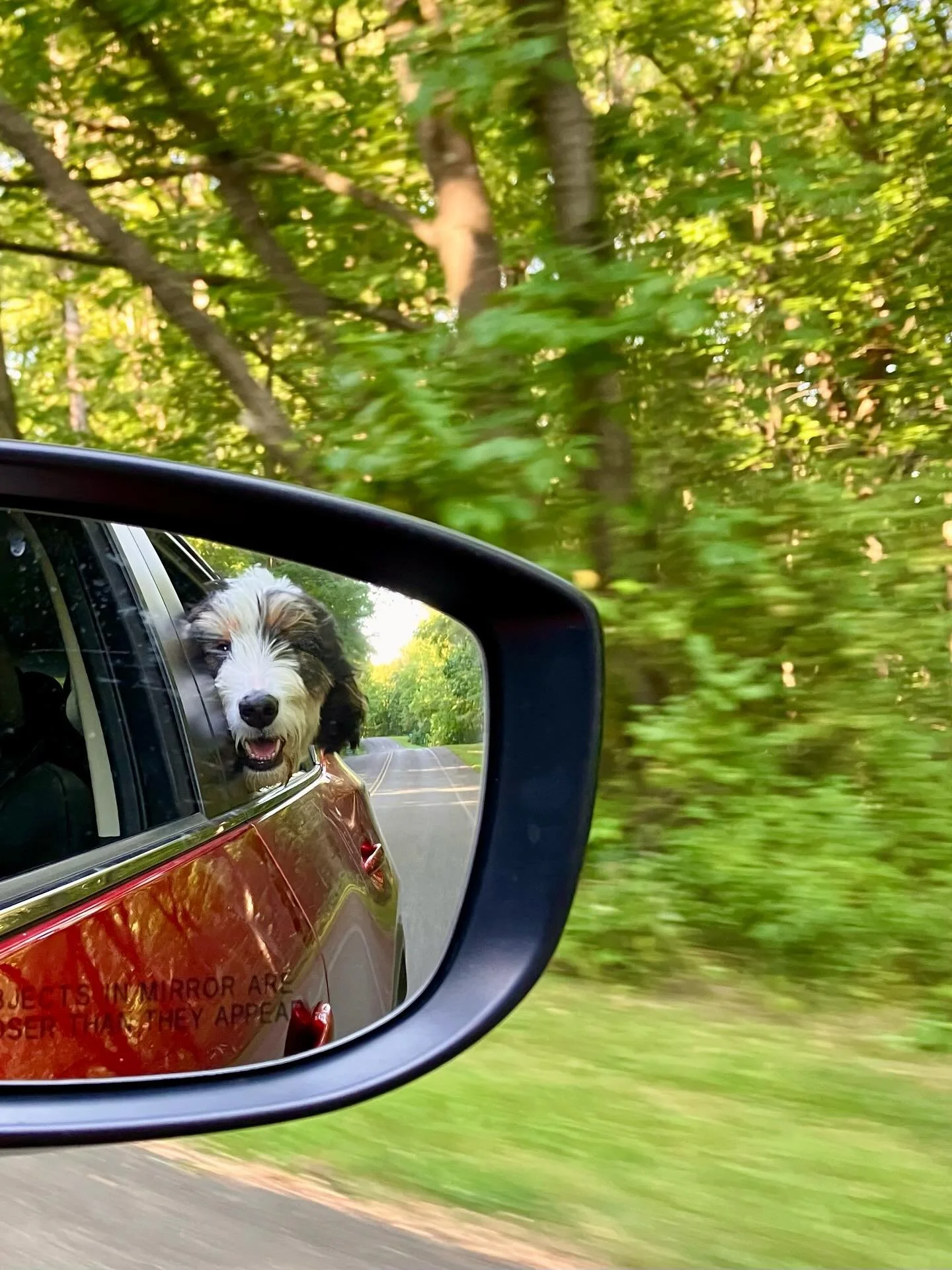 Looking in the rear view, it&rsquo;s a good thing I didn&rsquo;t know how difficult writing a novel can be. I might not have started. Now I&rsquo;m in the home stretch and I&rsquo;m almost always tired (brain dead). I haven&rsquo;t spent as much time