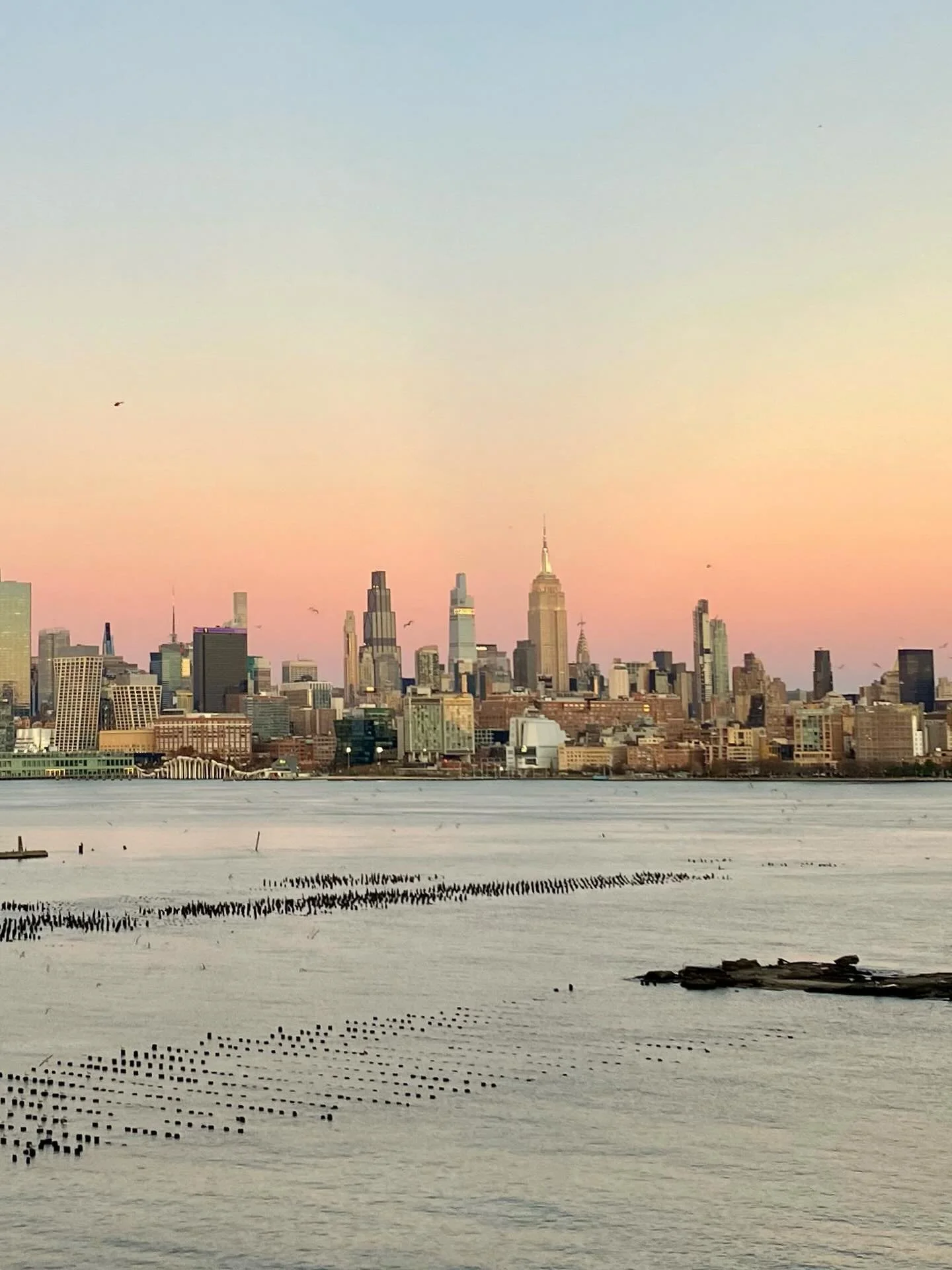 Great way to end a great day ☀️ #thenightofthewhales is as much about NYC as it is about nature. Grateful for both&hellip;
#writer 
#writerslife