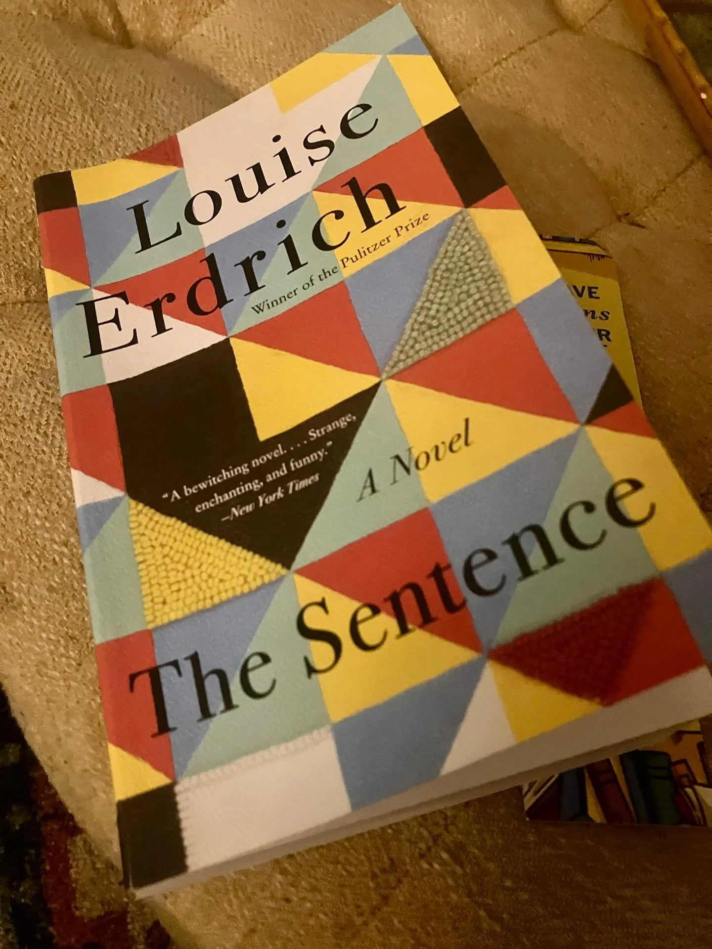 Just finished this one. It takes place in Minneapolis during Trump&rsquo;s first term, and seems especially relevant today. But, somehow, it made me laugh at times. Highly recommend.
#read #writer