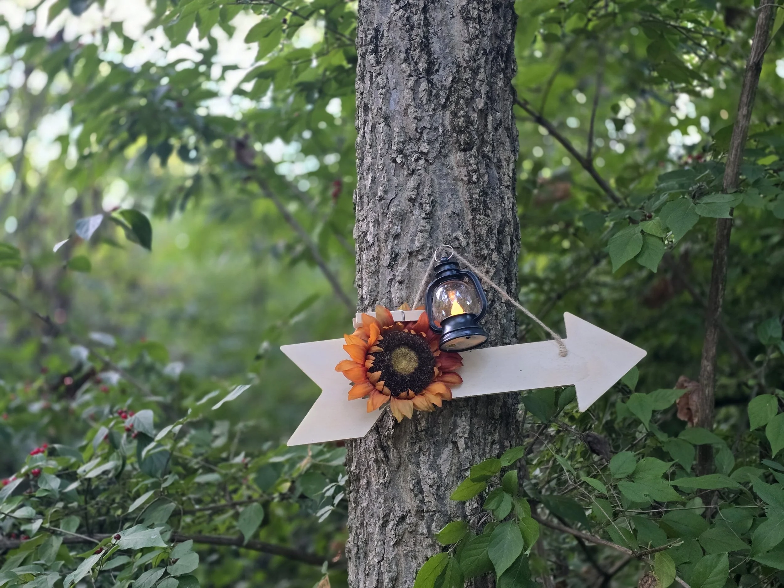 Rustic Romance - Oct 10th
