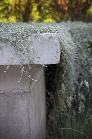 IMG_6683 copy_480.jpg