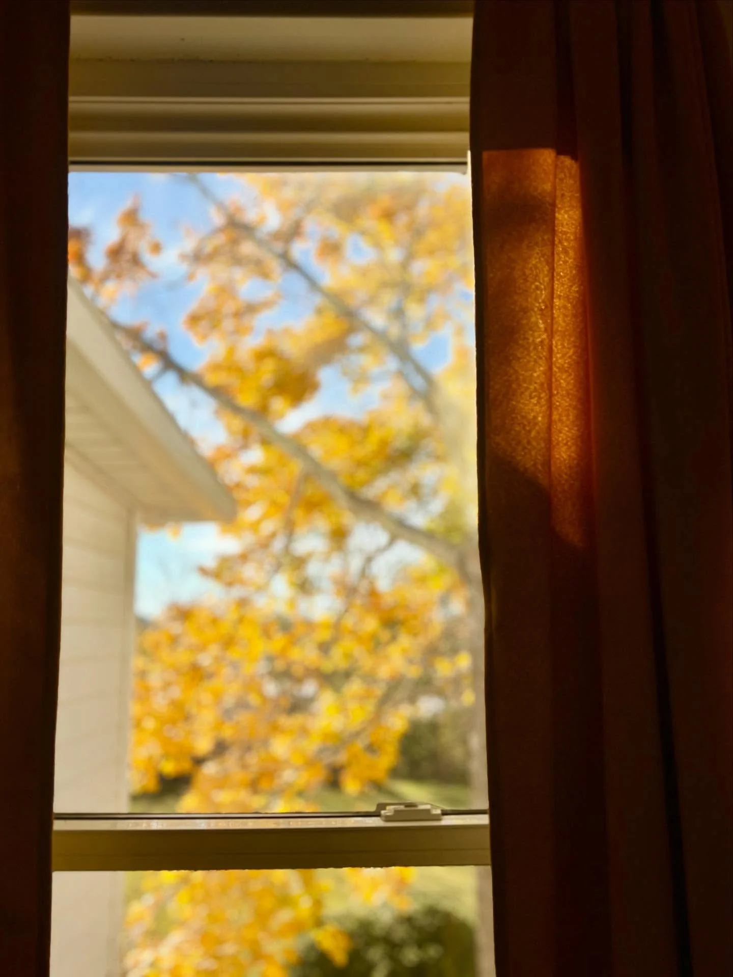 Every year we have been 
witness to it: how the
world descends 

into a rich mash, in order that
it may resume.
And therefore
Who would cry out

to the petals on the ground 
to stay,
knowing as we must,
how how the vivacity of what was is married

to