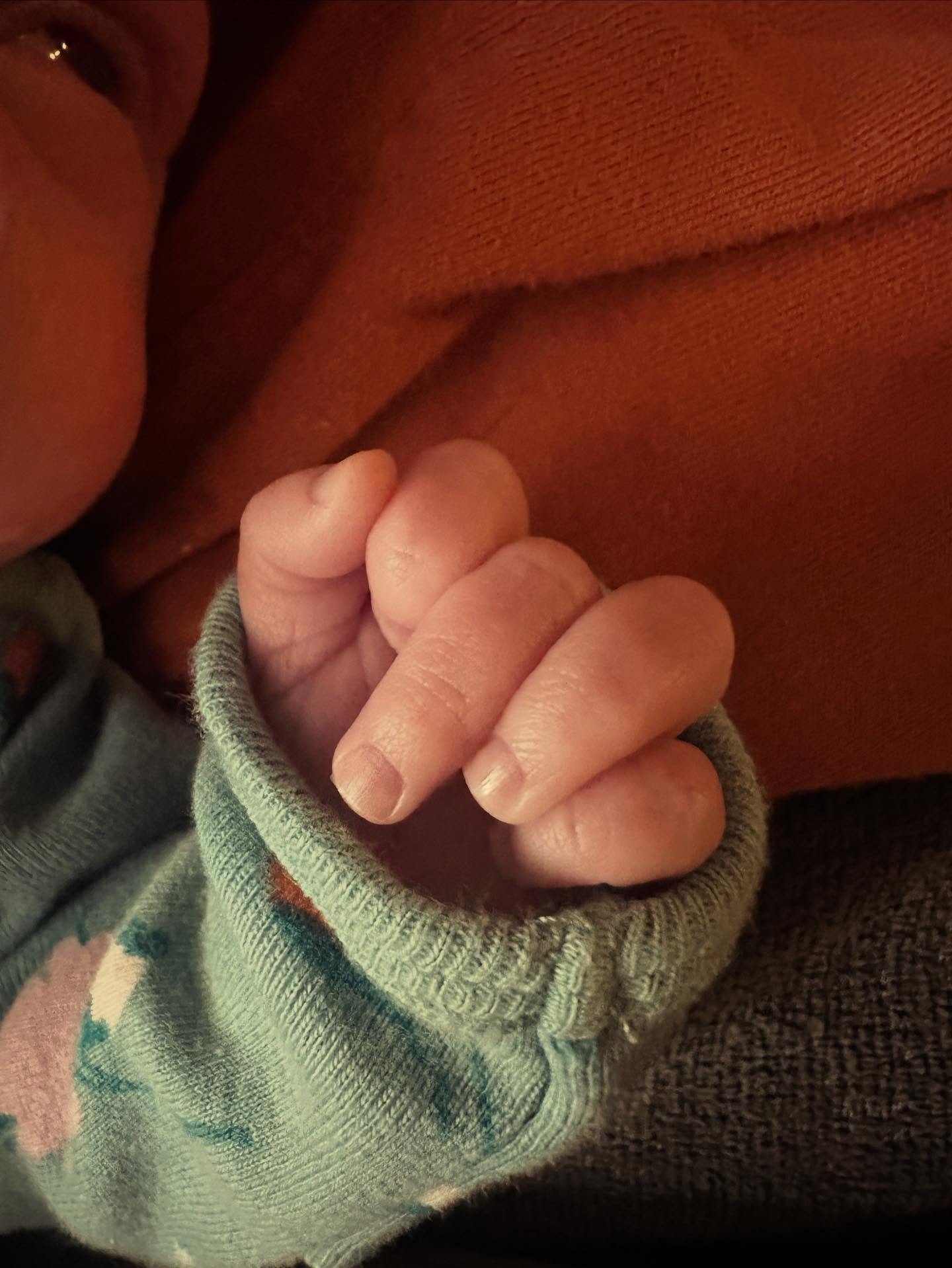 The Book House had a baby! You may have wondered where Saskia and Nathaniel have been (two of our original Book House team members). They were busy making a family! They welcomed their Wee One into the world very early, but everyone is doing well and