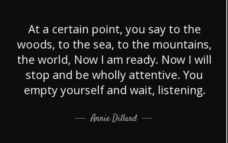 Bon voyage, dear pilgrim. Say hello to Dolly and Wendell for us. RIP Annie Dillard: 4/30/45-9/15/26.