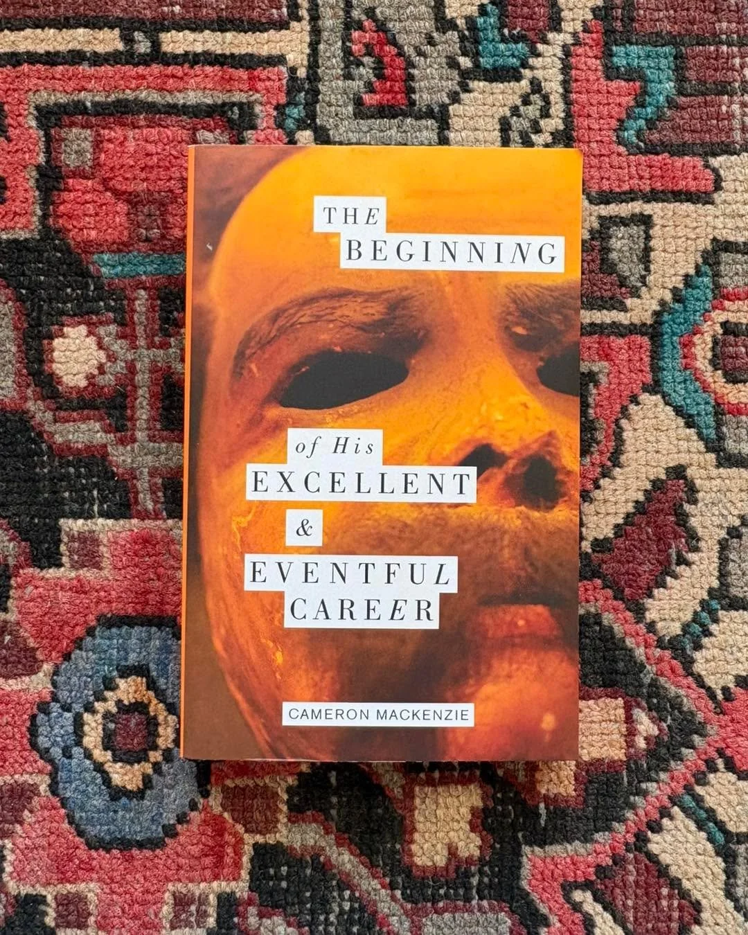 We are excited to announce that on Saturday November 7th, Roanoke Author Cameron Mackenzie will be joining us at The Book House for a reading! 
 

Cameron MacKenzie's novel, The Beginning of His Excellent and Eventful Career, chronicled the rise to p