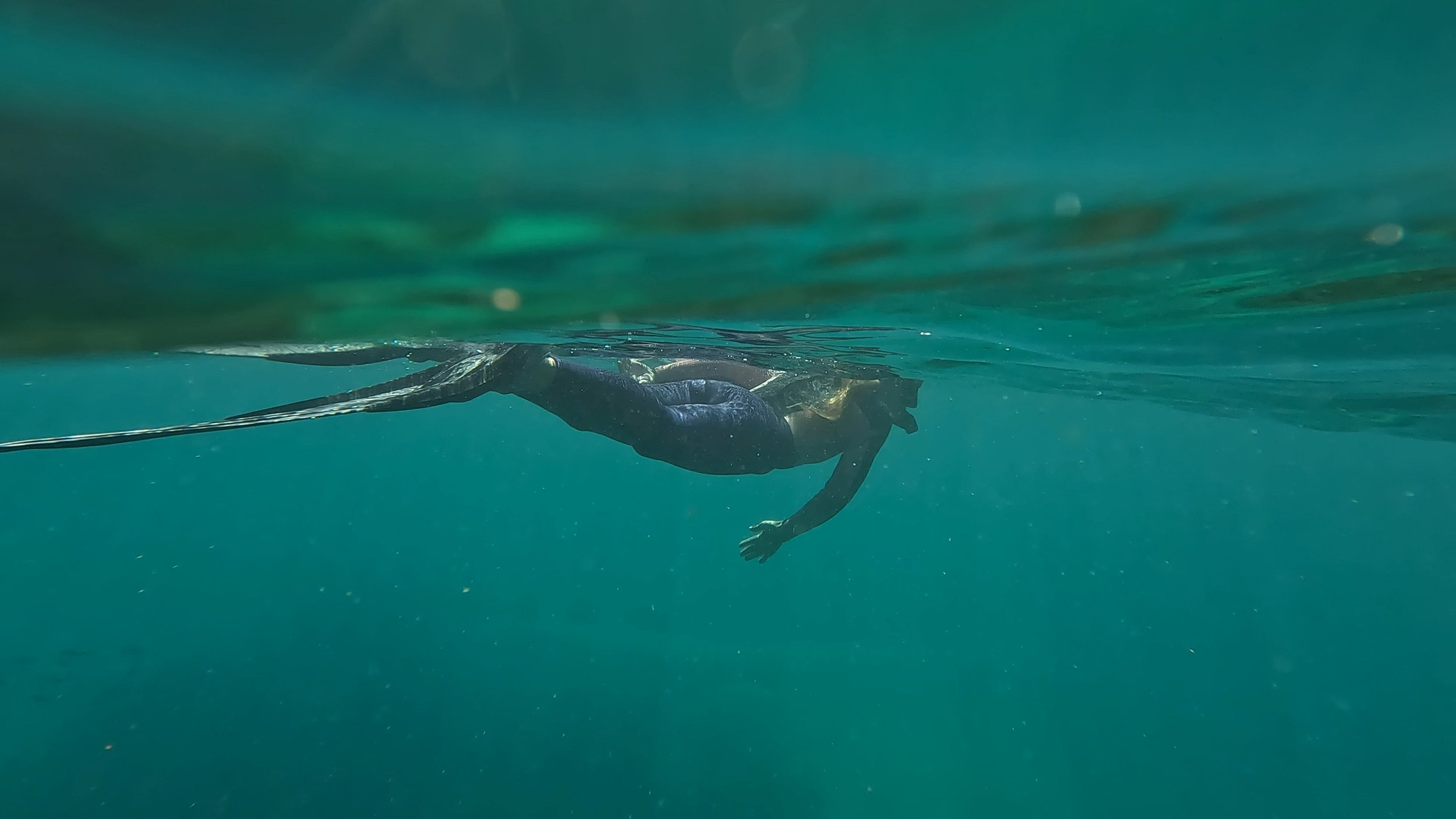 arun frances - baja collection 4.JPG