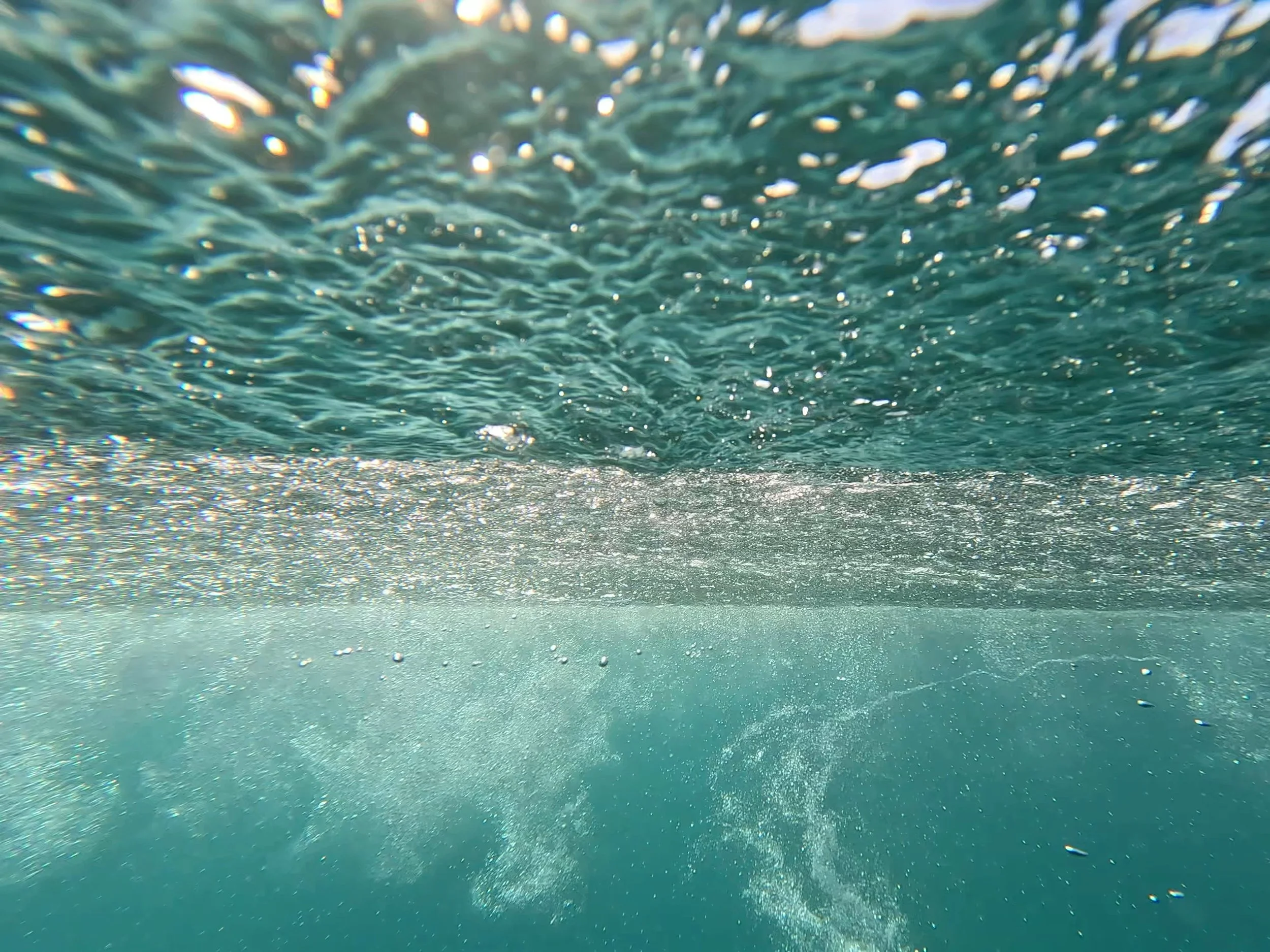 arun frances - baja collection 3.JPG