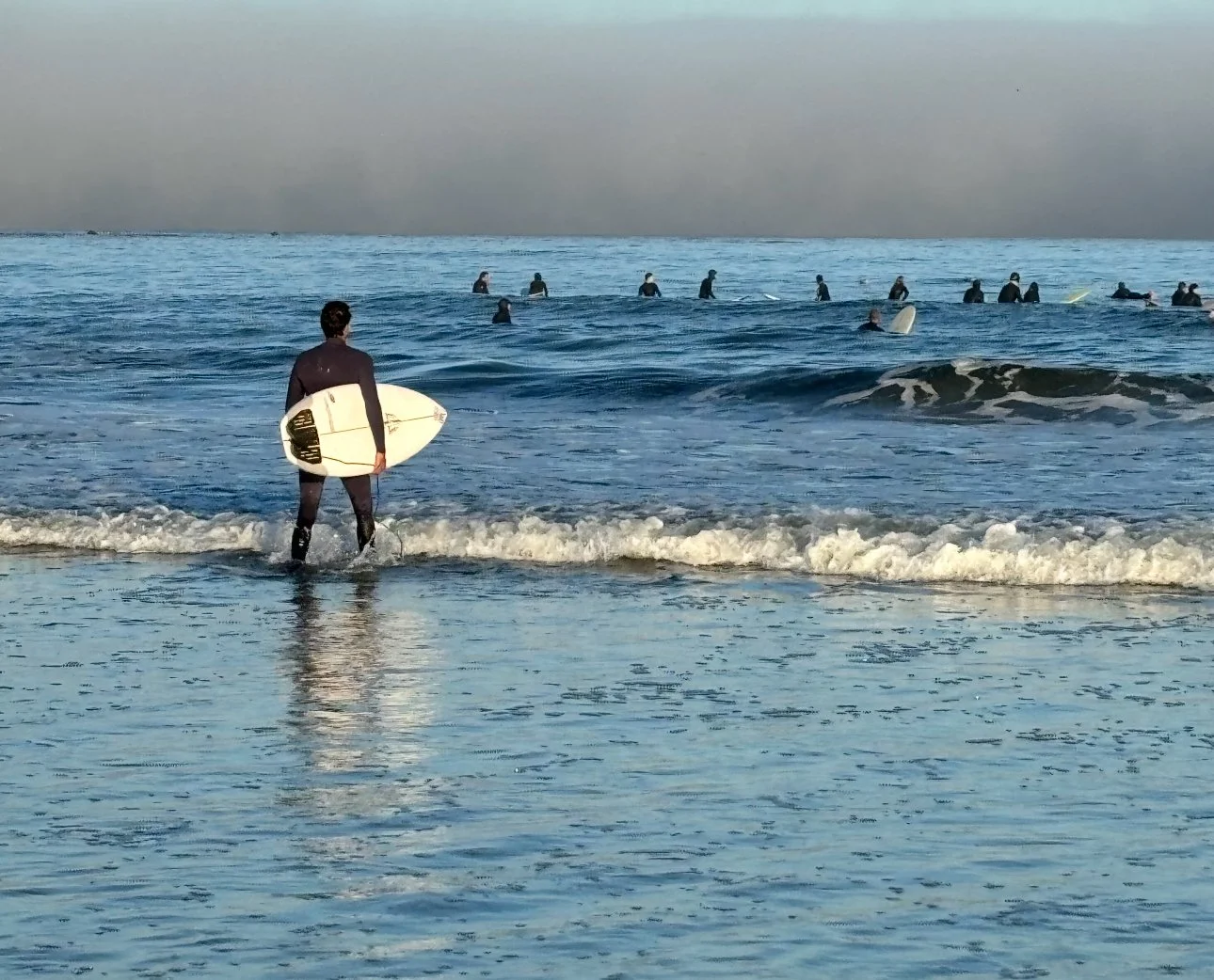 Why Did You Quit What You Love?