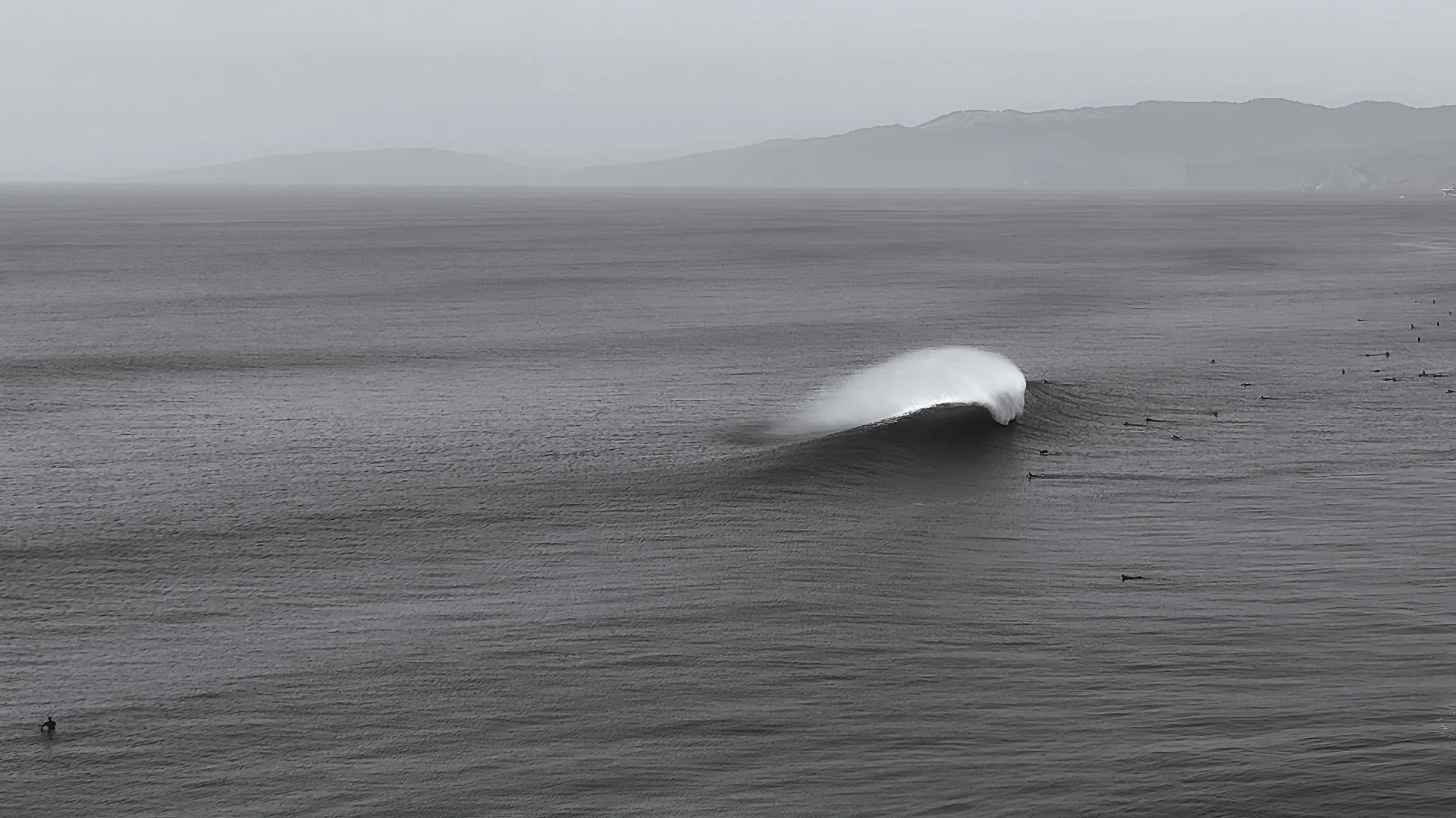 Coastal & Surf