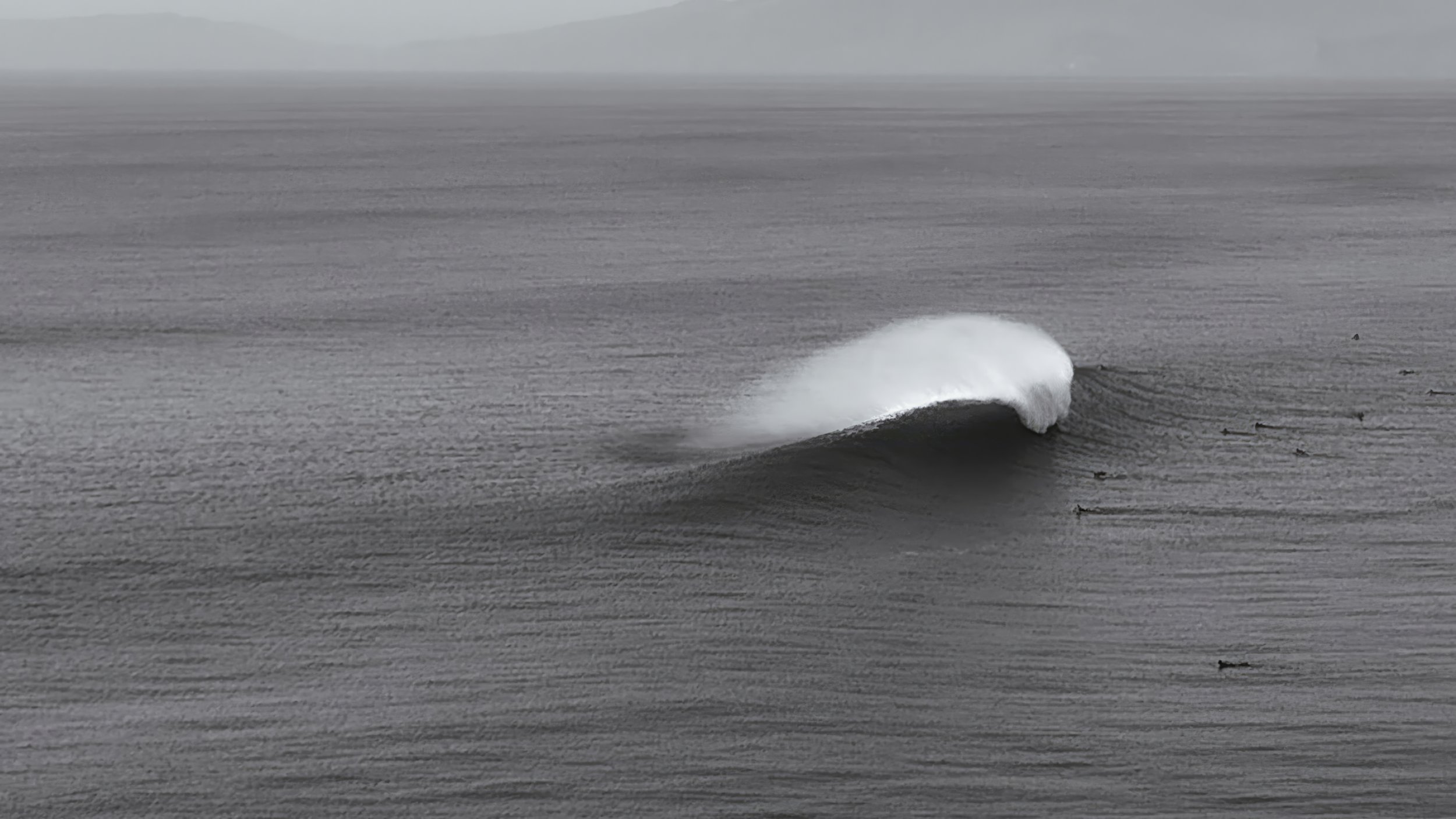solo wave (1).jpg