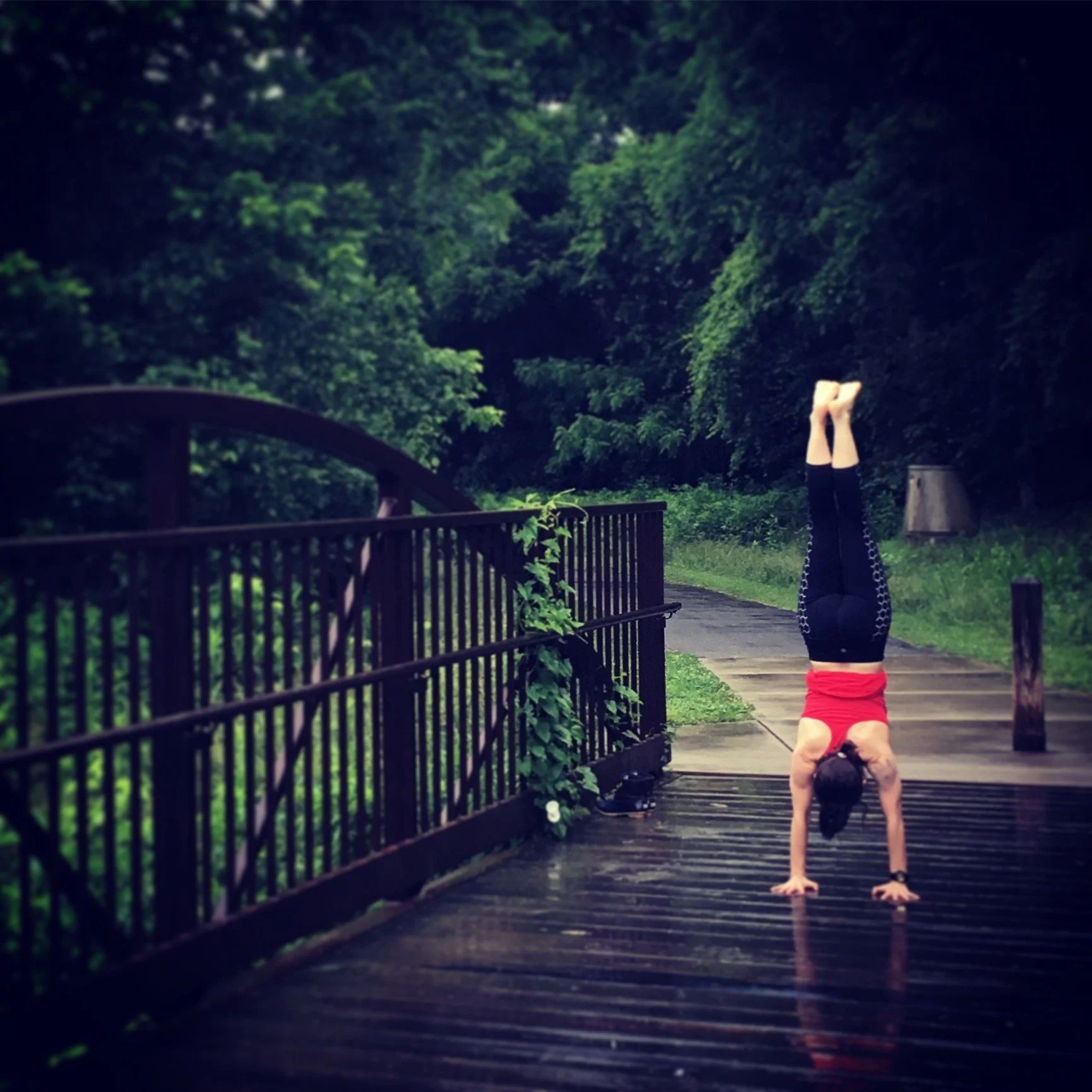 adho mukha vrksasana.JPG
