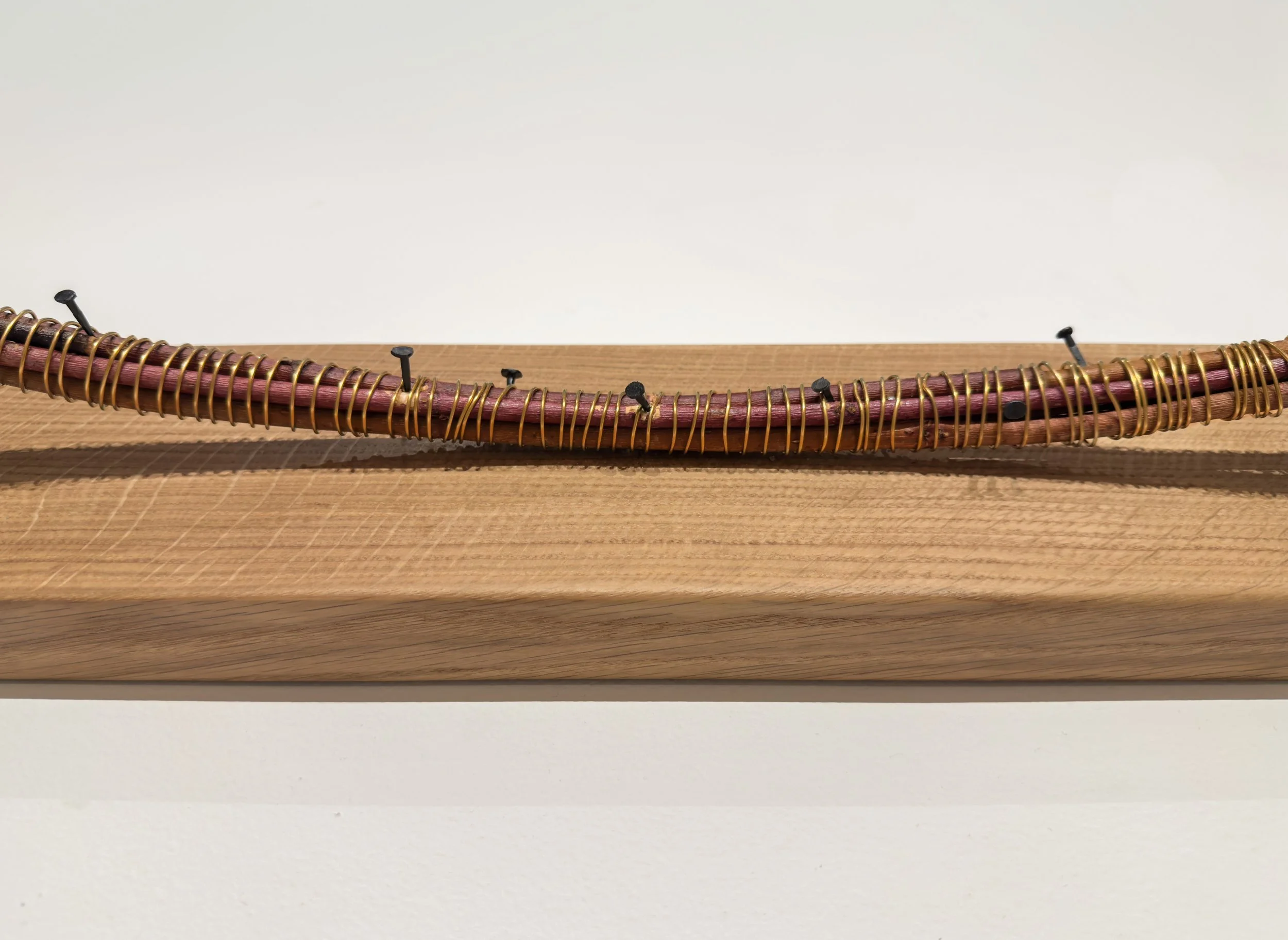 "Embrace",  2025, Steam Bent Dogwood, White Oak, Hand Forged Steel Nails, 4' x 3' x 1'