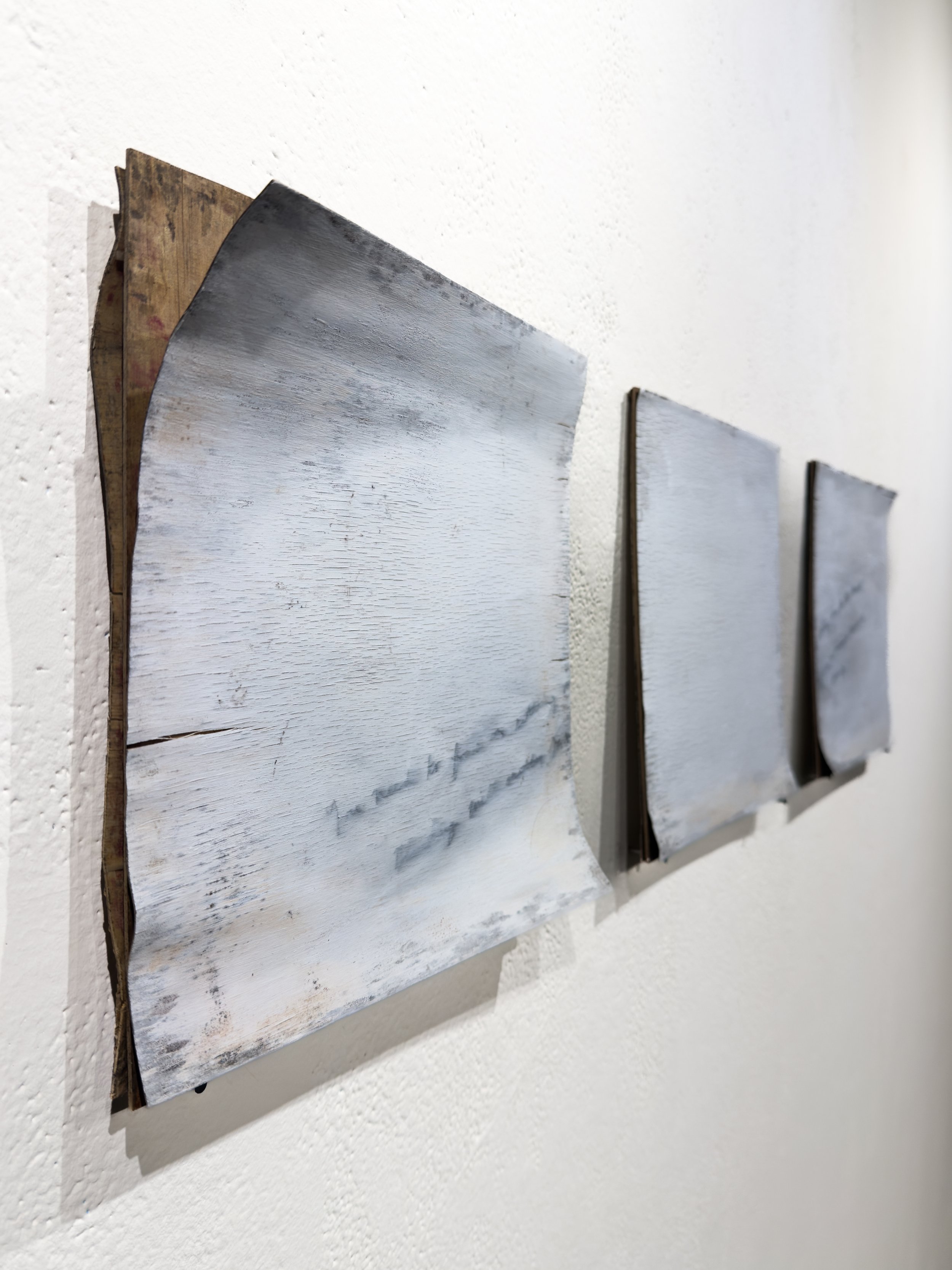 'Remnants', 2025, Graphite and Oil on Wood Panel, 6 months of Sunlight, Rain, Snow, Dirt, and Debris (12" x 36")