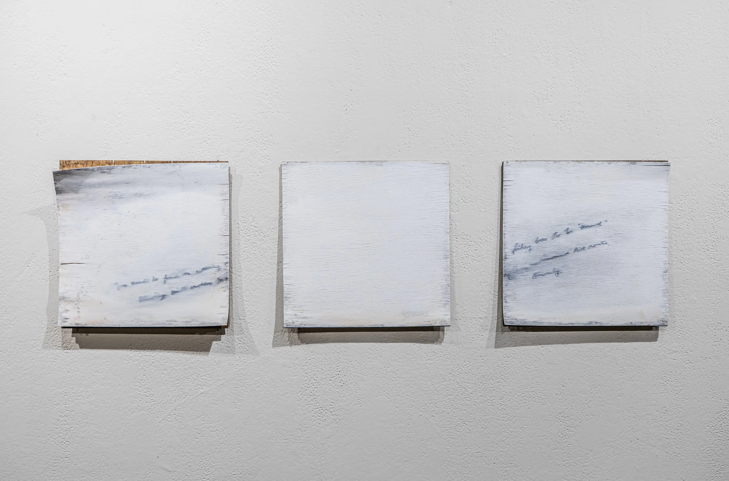 'Remnants', 2025, Graphite and Oil on Wood Panel, 6 months of Sunlight, Rain, Snow, Dirt, and Debris (12" x 36")