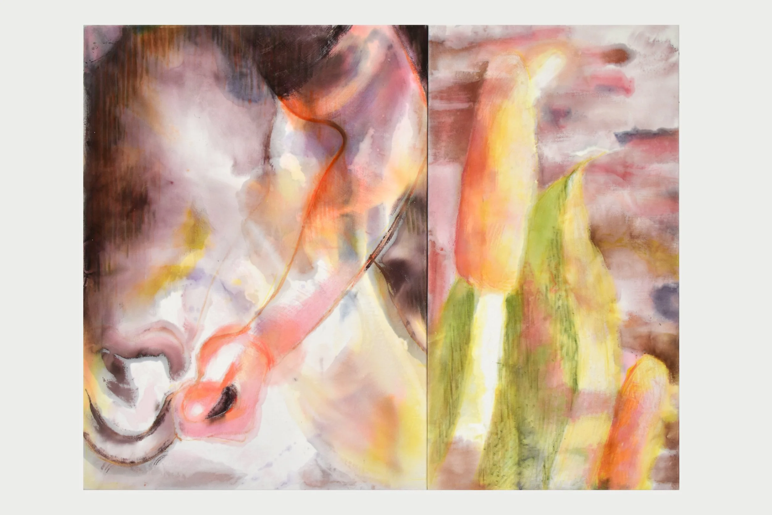 Stallion, diptych, 2026, acrylic, ink and oil stick on cotton velvet, 120cm x 155cm