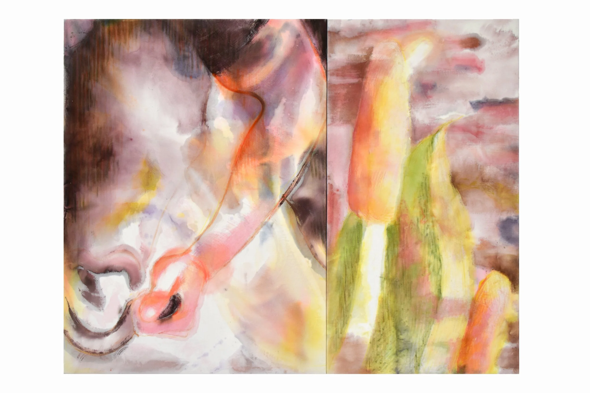 Stallion, 2026, acrylic, ink and oil stick on cotton velvet, 120 x 155cm
