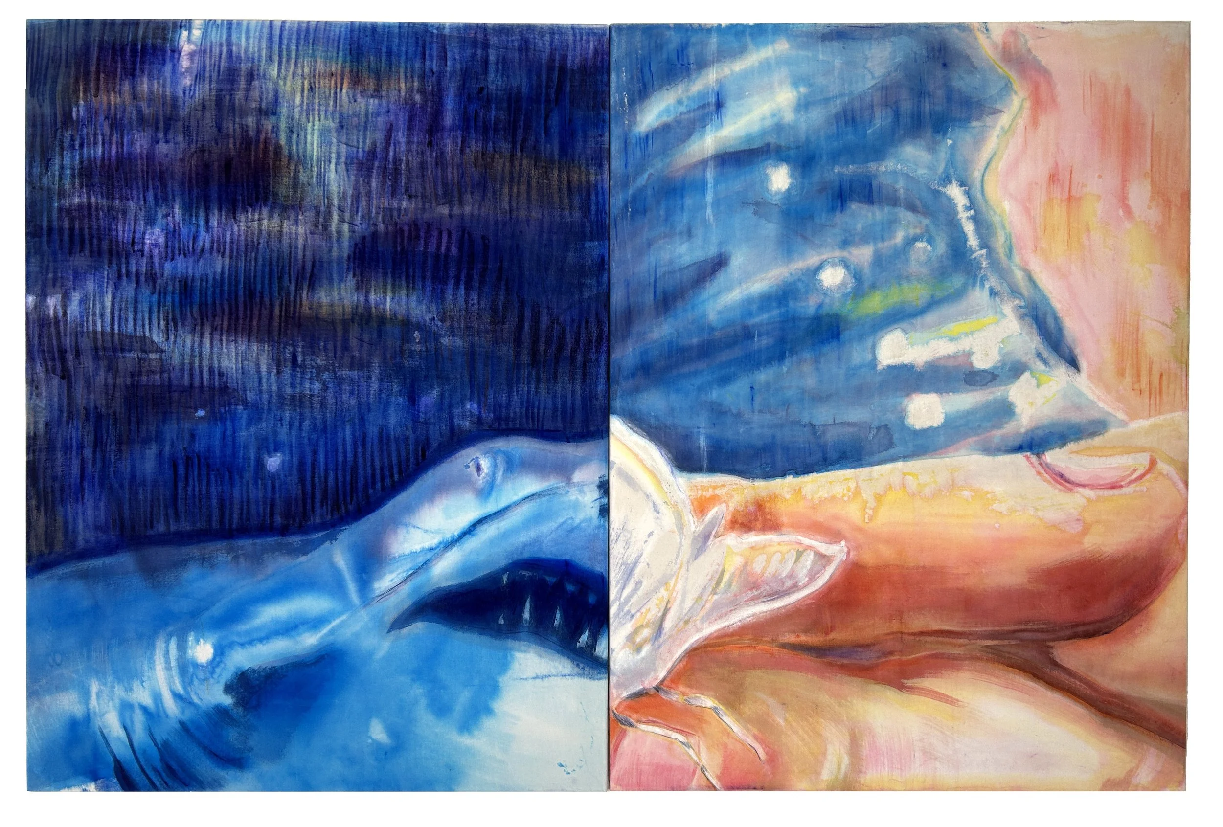 "A Light Snack”, diptych, 2026, acrylic ink and oil stick on cotton velvet, 120cm x 180cm