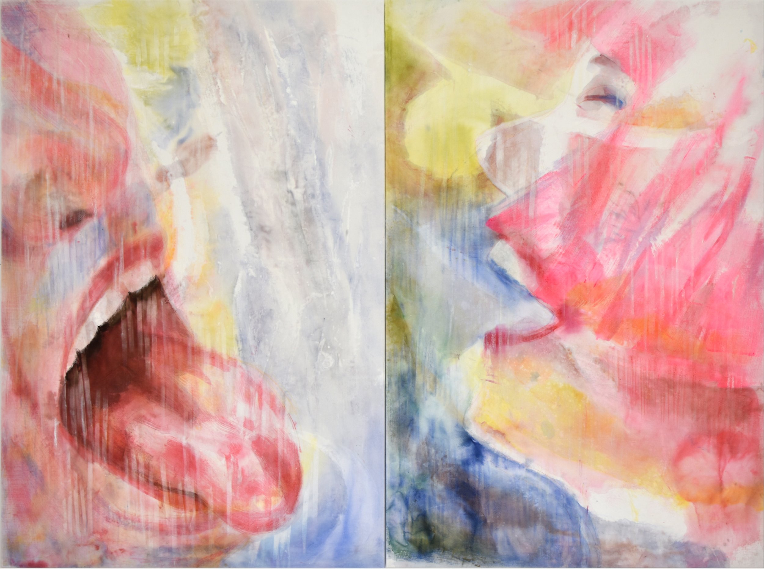 Salt Lick, diptych, 2026, acrylic, ink and oil stick on cotton velvet, 200cm x 270cm