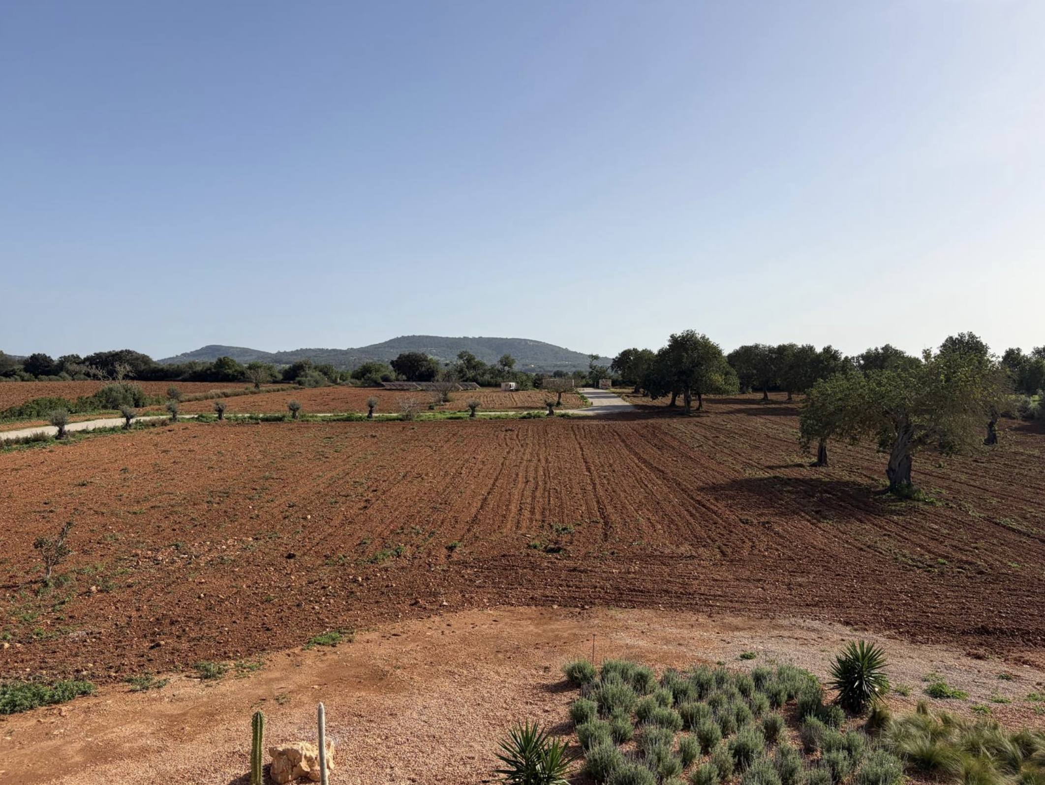 Screenshot 2026-03-08 at 12.32.34.png