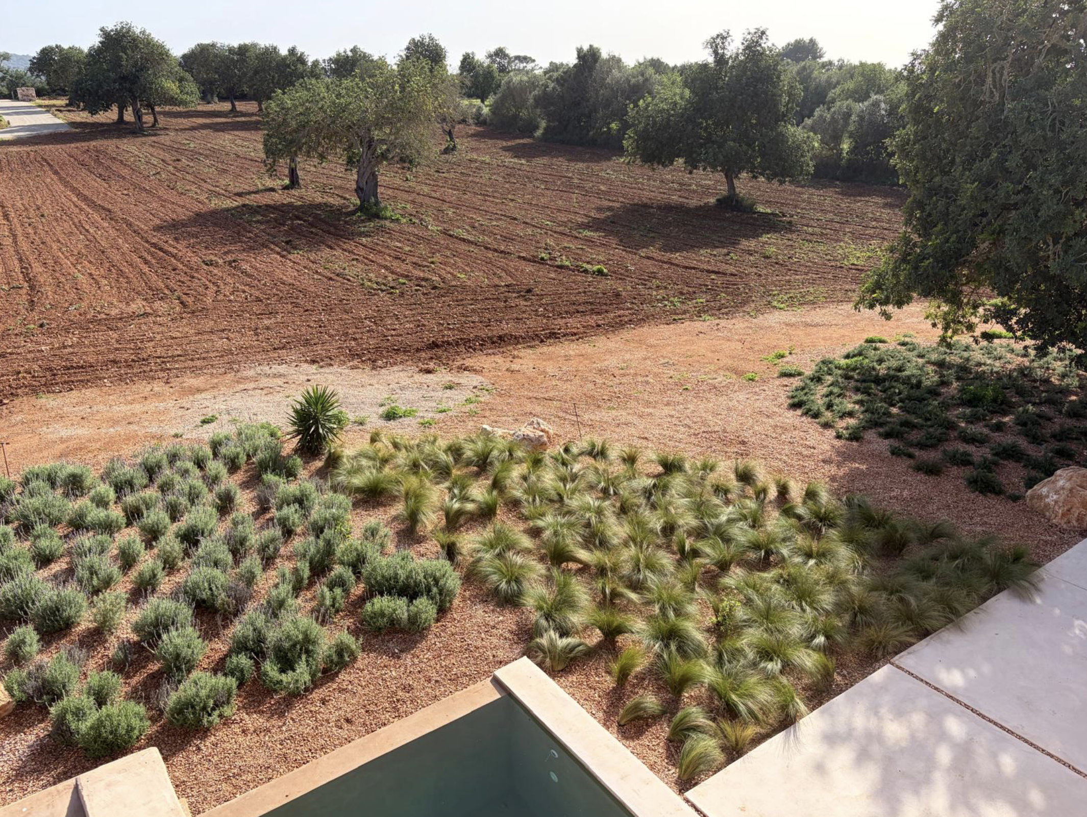 Screenshot 2026-03-08 at 12.32.23.png