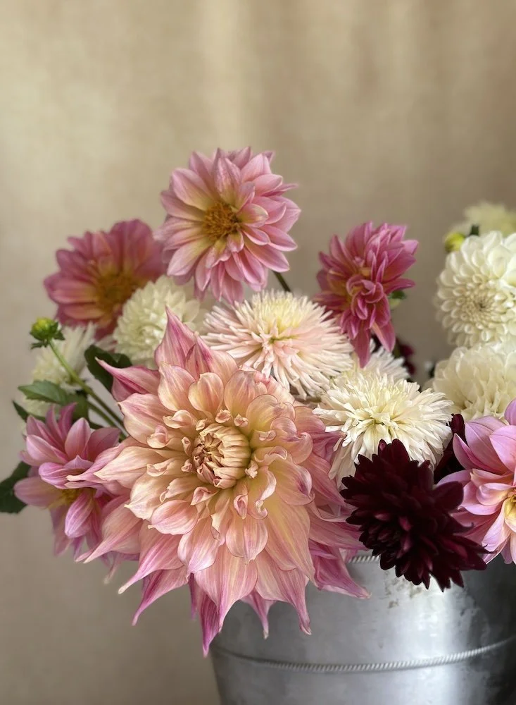 dahliasbucket.jpg (Copy)