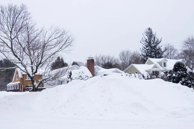  AOpp_2015_02_09__DSF3848 b.jpeg