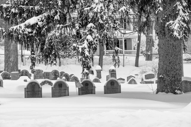 AOpp_2015_02_09__DSF3865-Edit b.jpeg