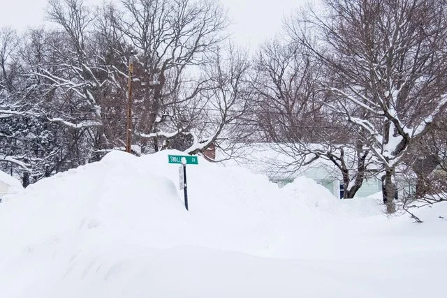 AOpp_2015_02_09__DSF3847 b.jpeg