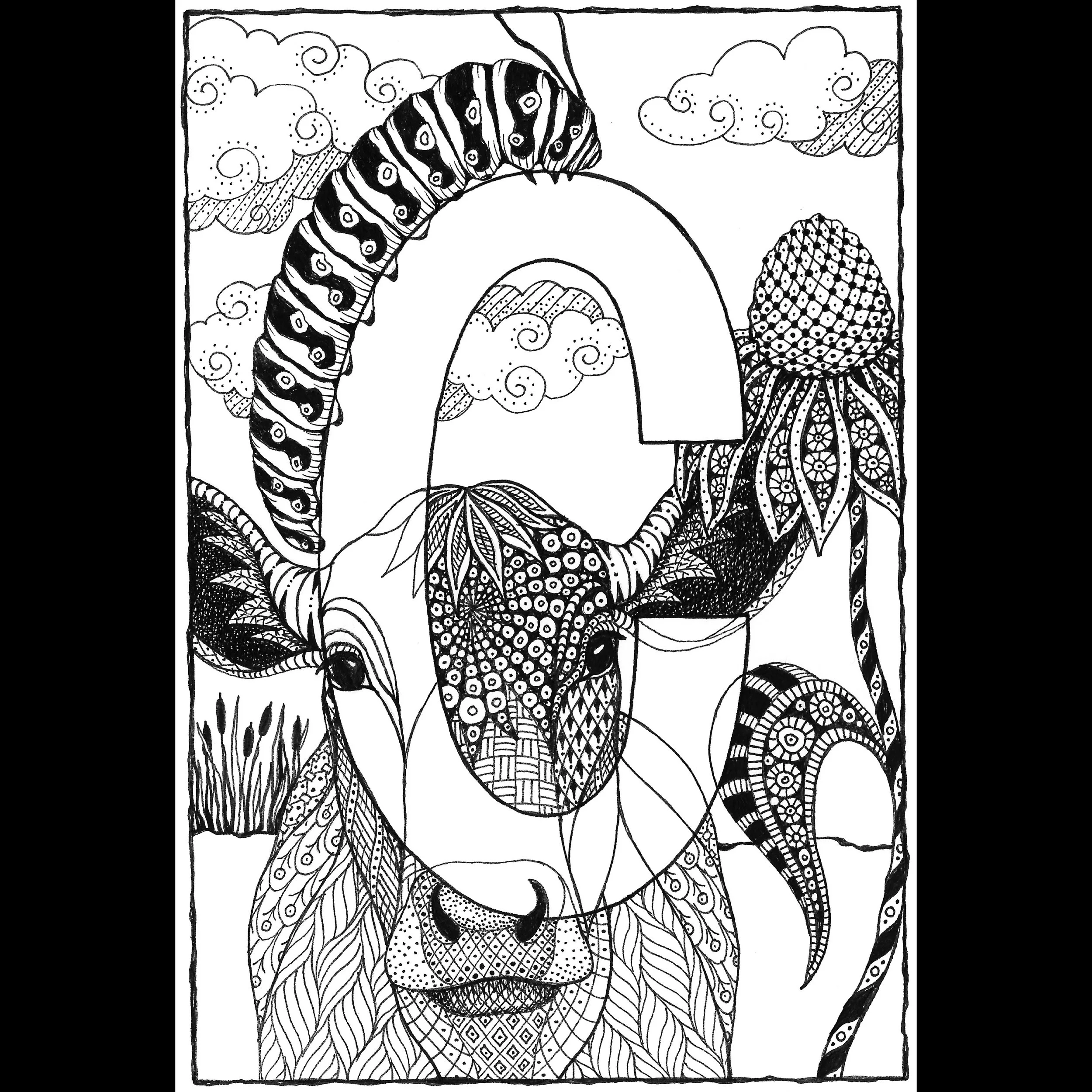 J Ink Graphics KRISTIN MOGER ART - Store- All work - alphabet letter j ink illustration