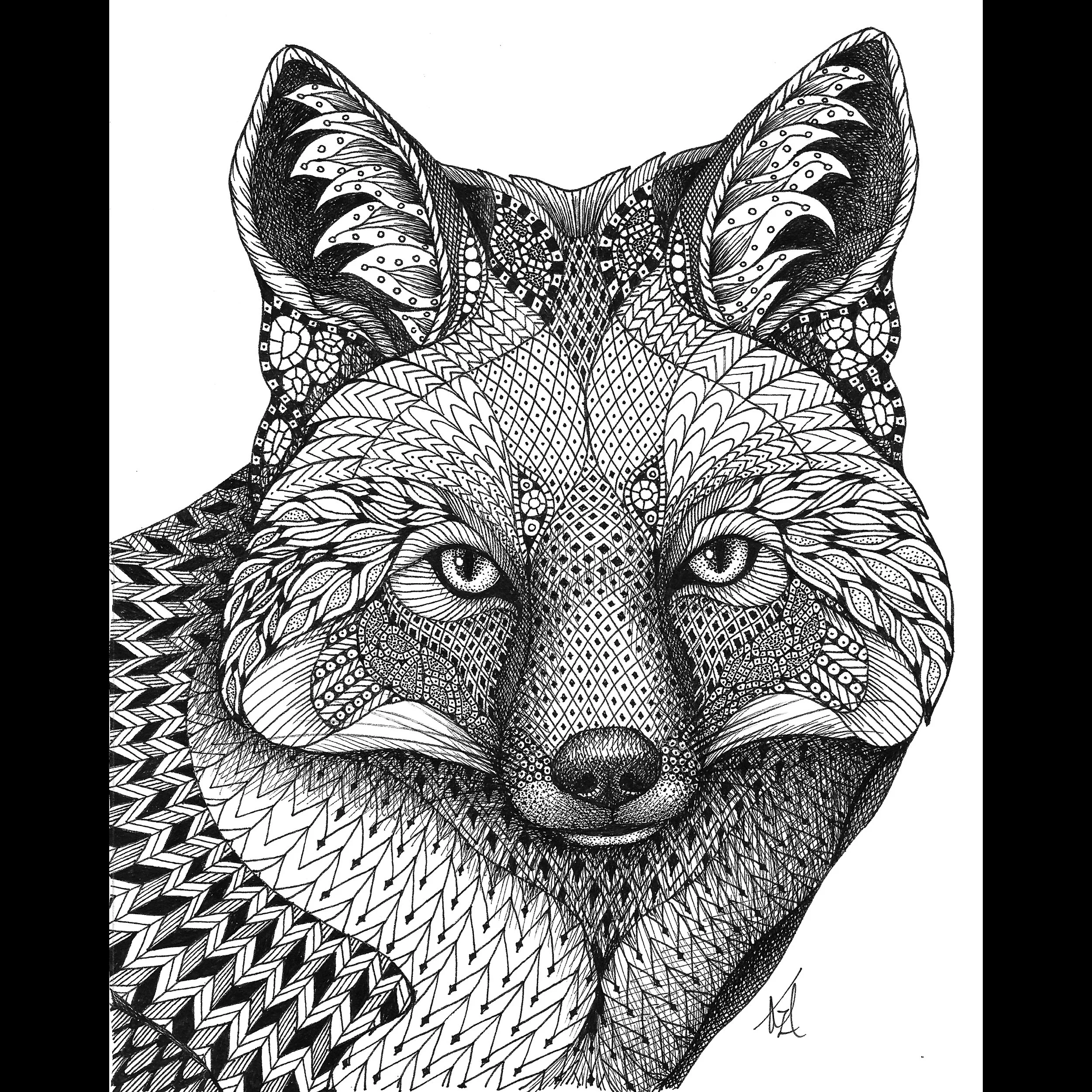 Work Fox KRISTIN MOGER ART - Store- All work - Fox Portrait Ink Drawing