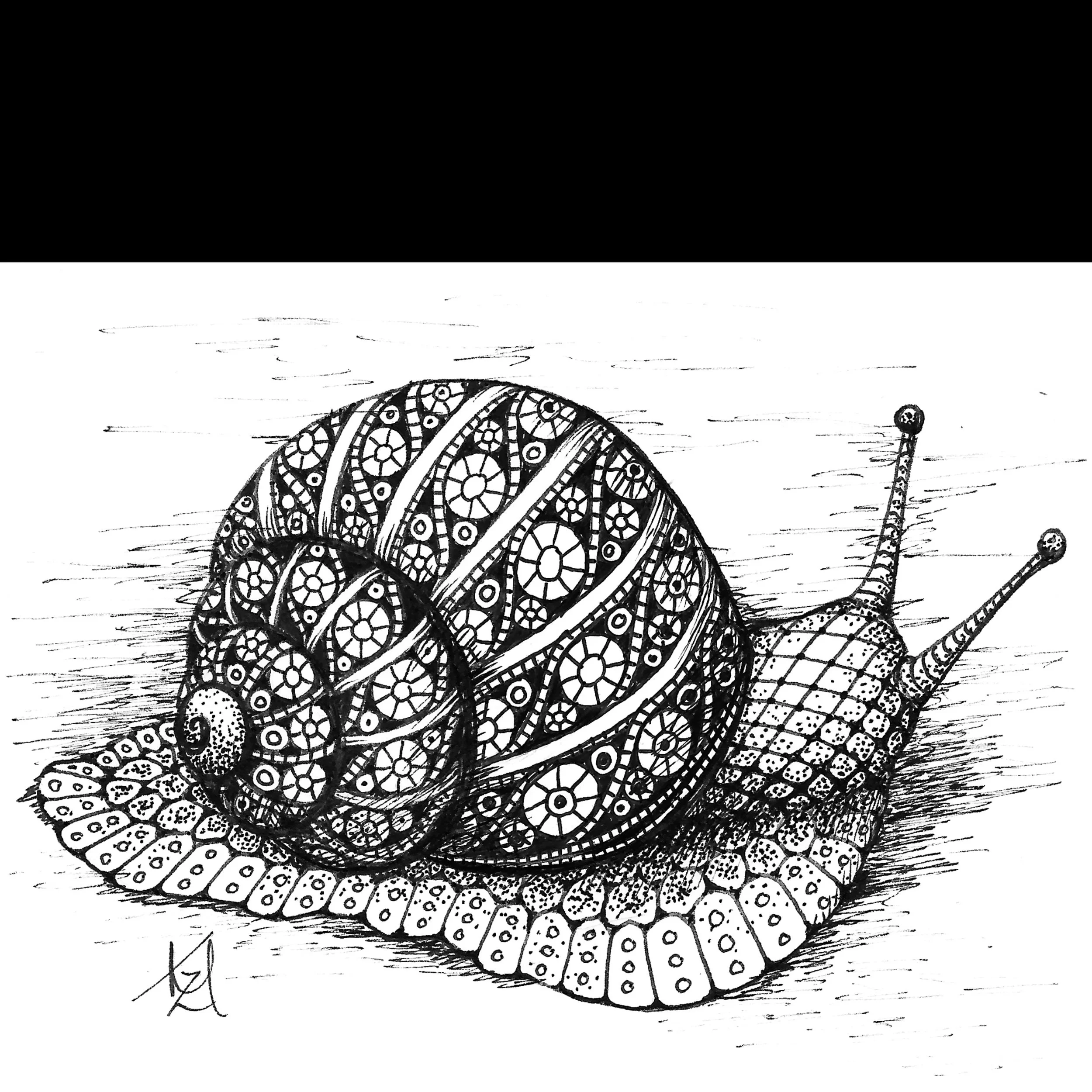 Snail Ink KRISTIN MOGER ART - Store- All work - Snail Ink Drawing