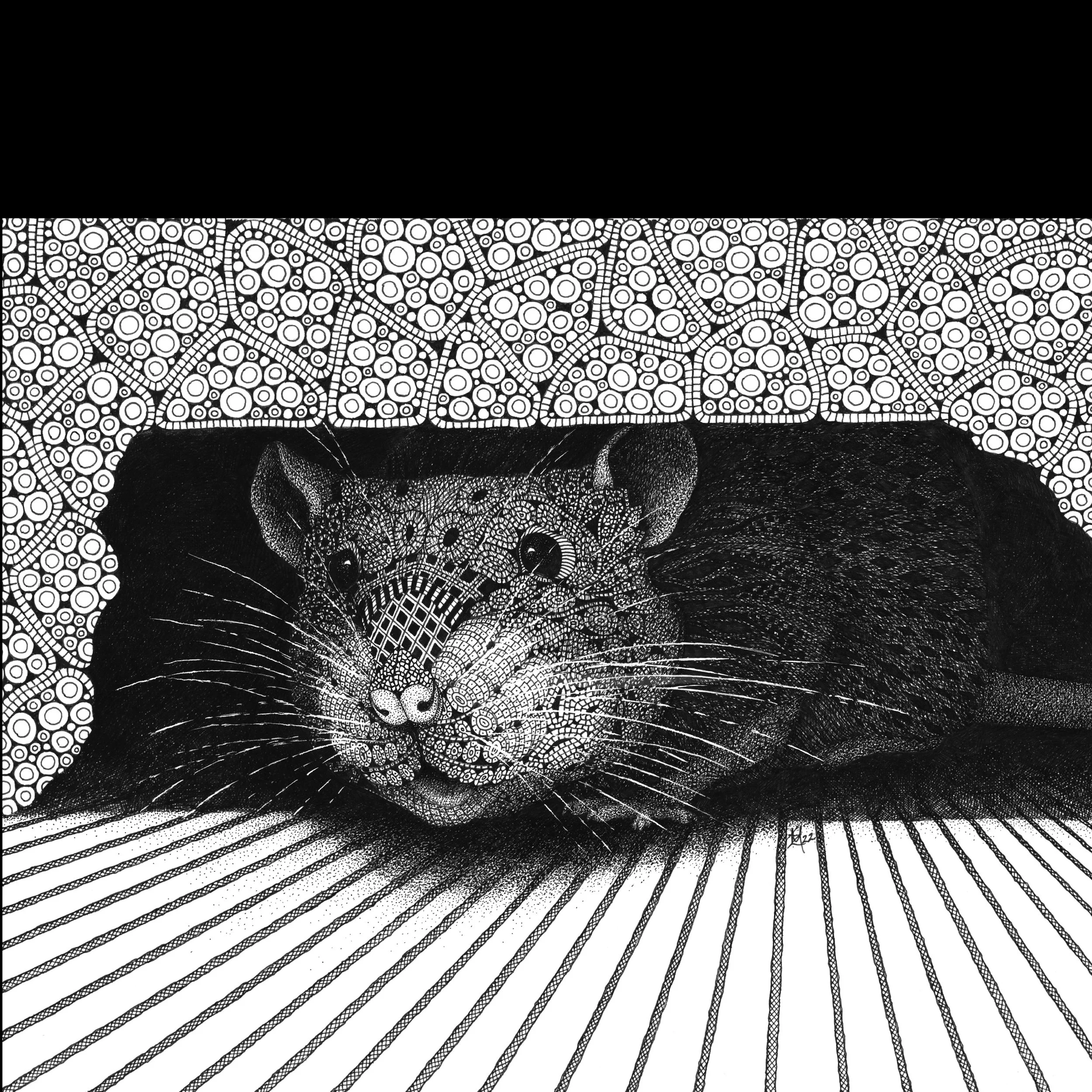 KRISTIN MOGER ART - Store- All work - Peek-A-Boo Rat Face Ink Drawing