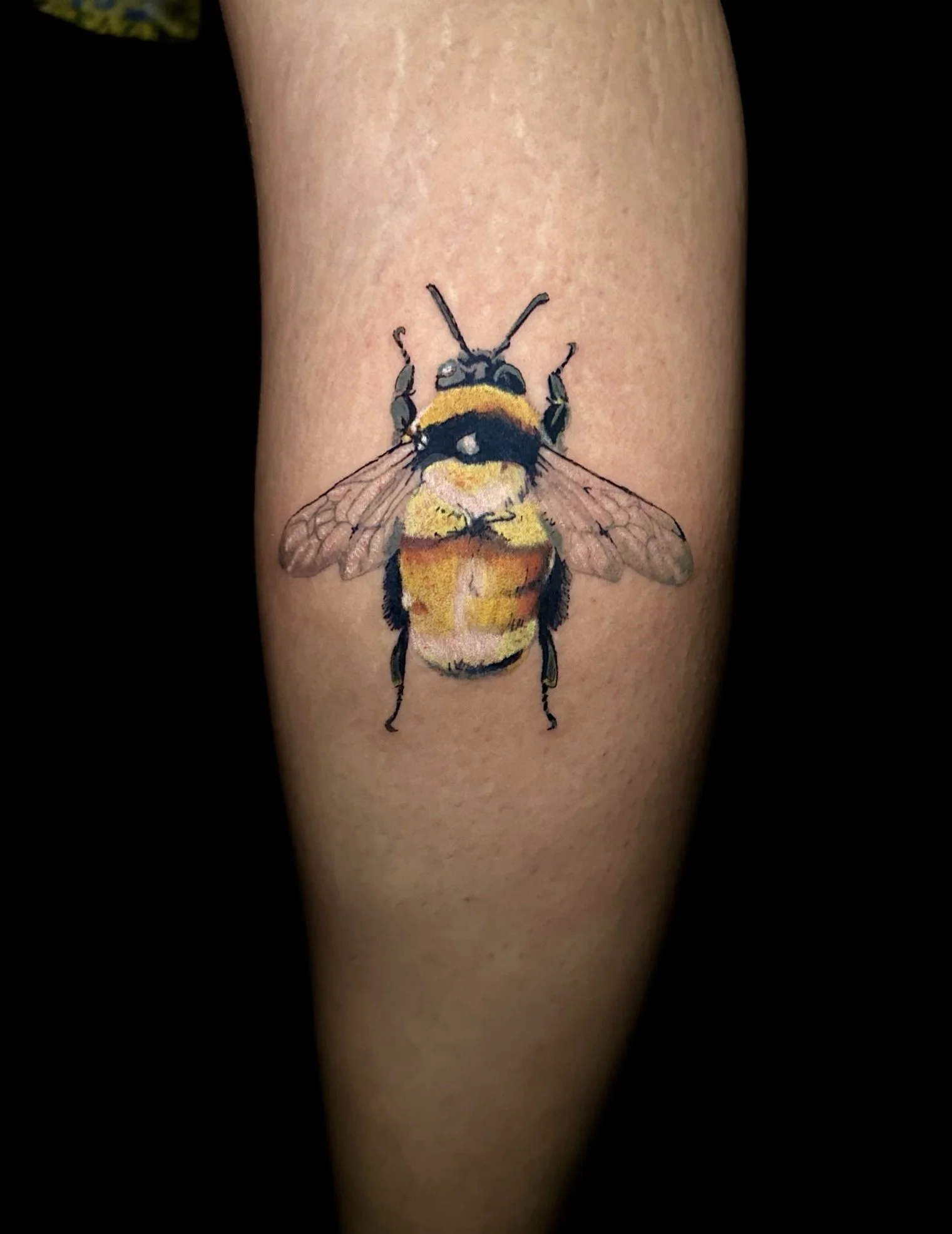 Color Bee.jpg