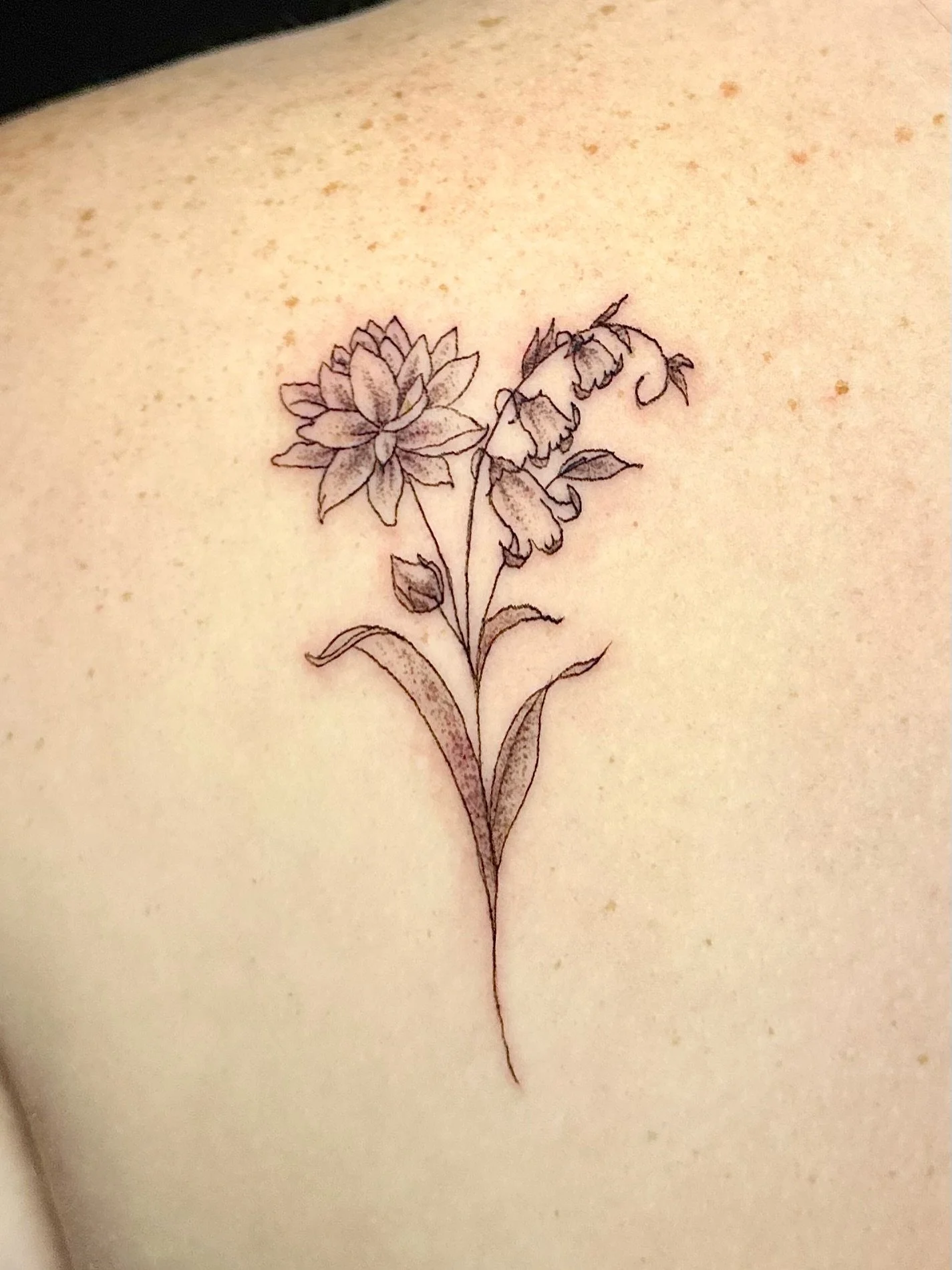 Memorial birth flowers in Fineline black and grey. #easytigerslc 
#slctattooartist 
#finelinetattooartist 
#utahtattooartist 
#watterlilly
#lillyofthevalley